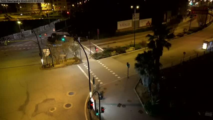 An empty intersection at night, illuminated by streetlights, with a palm tree and traffic signals visible.