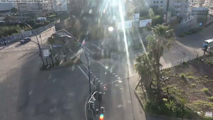 A sunny overhead view of a city intersection with several palm trees, a few cars, and buildings in the background.