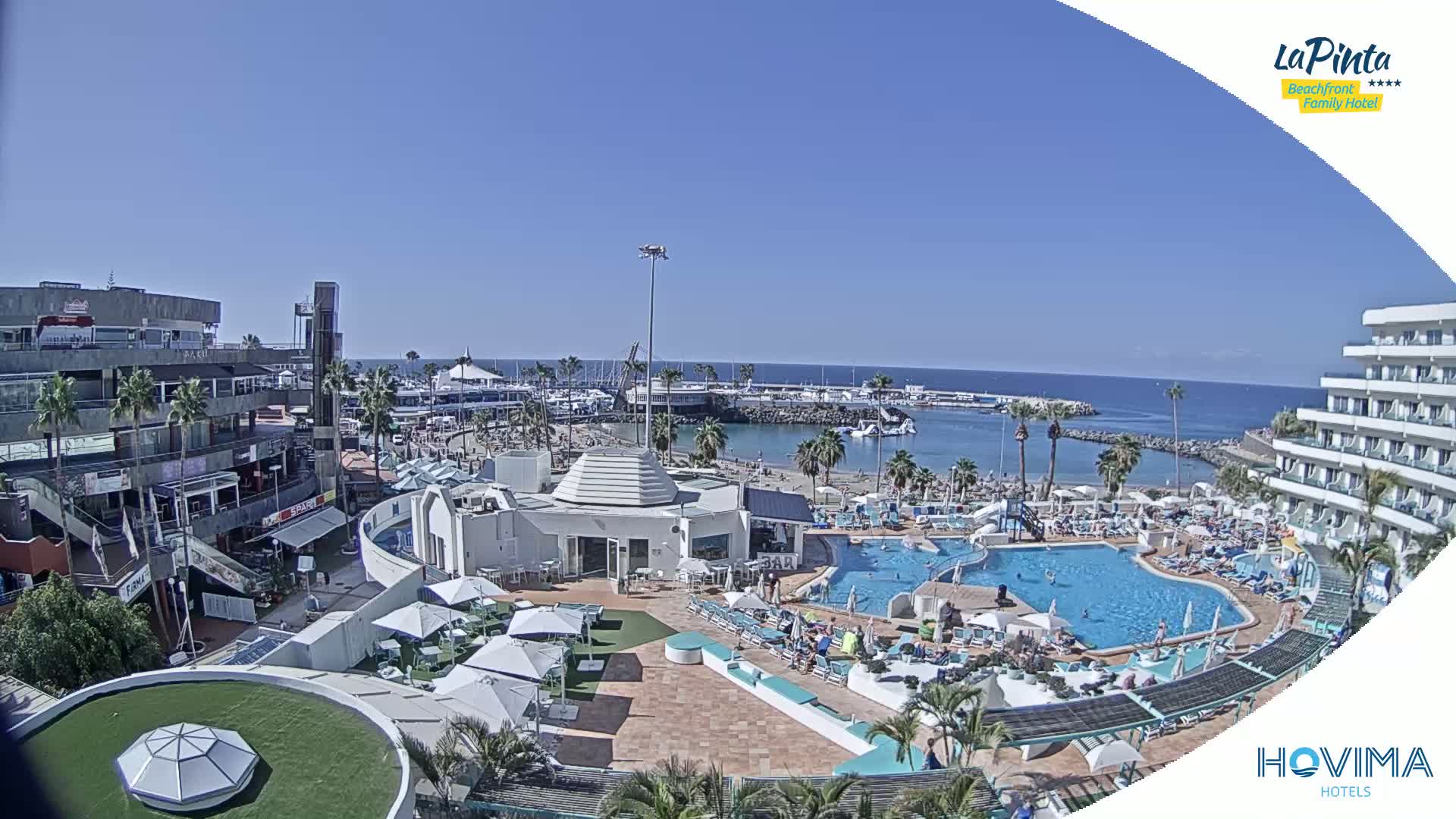 A resort pool area with sunbathers and swimmers is adjacent to a marina and beach on a sunny day.