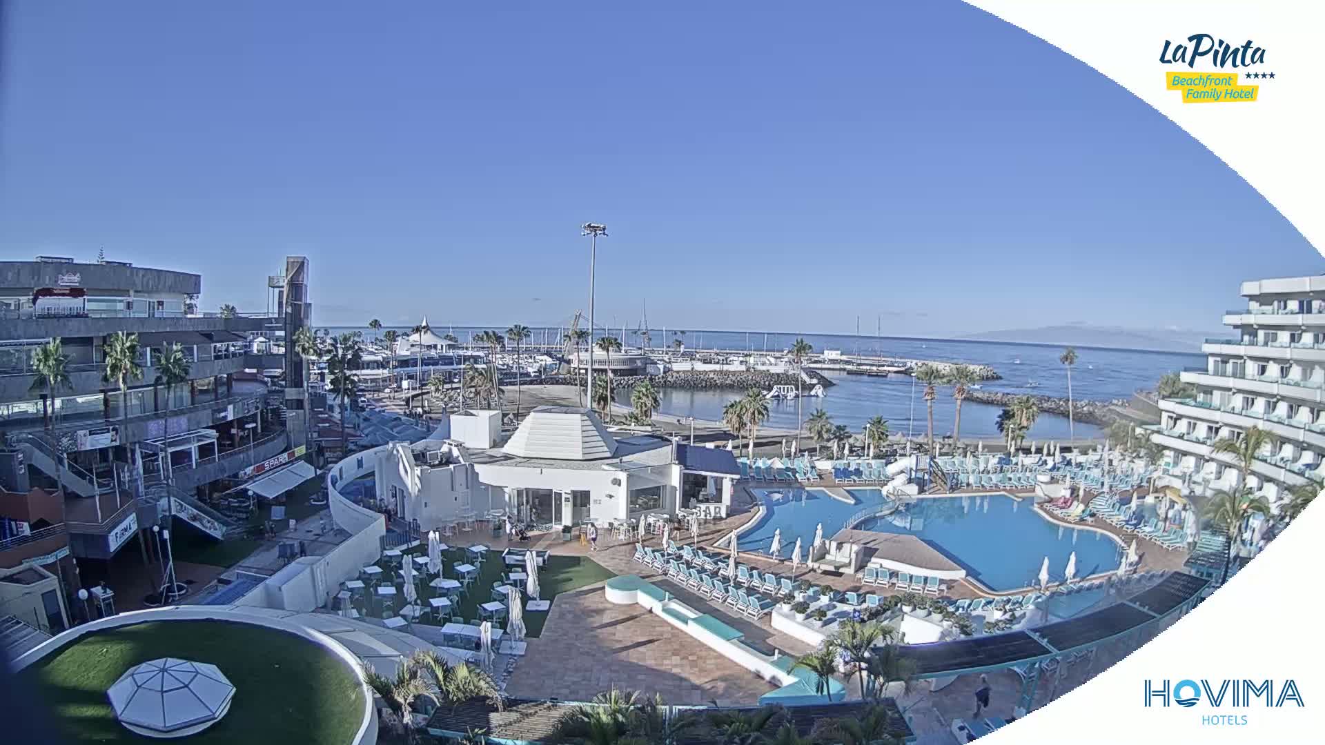 An aerial view of a resort with a large pool, situated next to a marina and ocean under a clear, sunny sky.