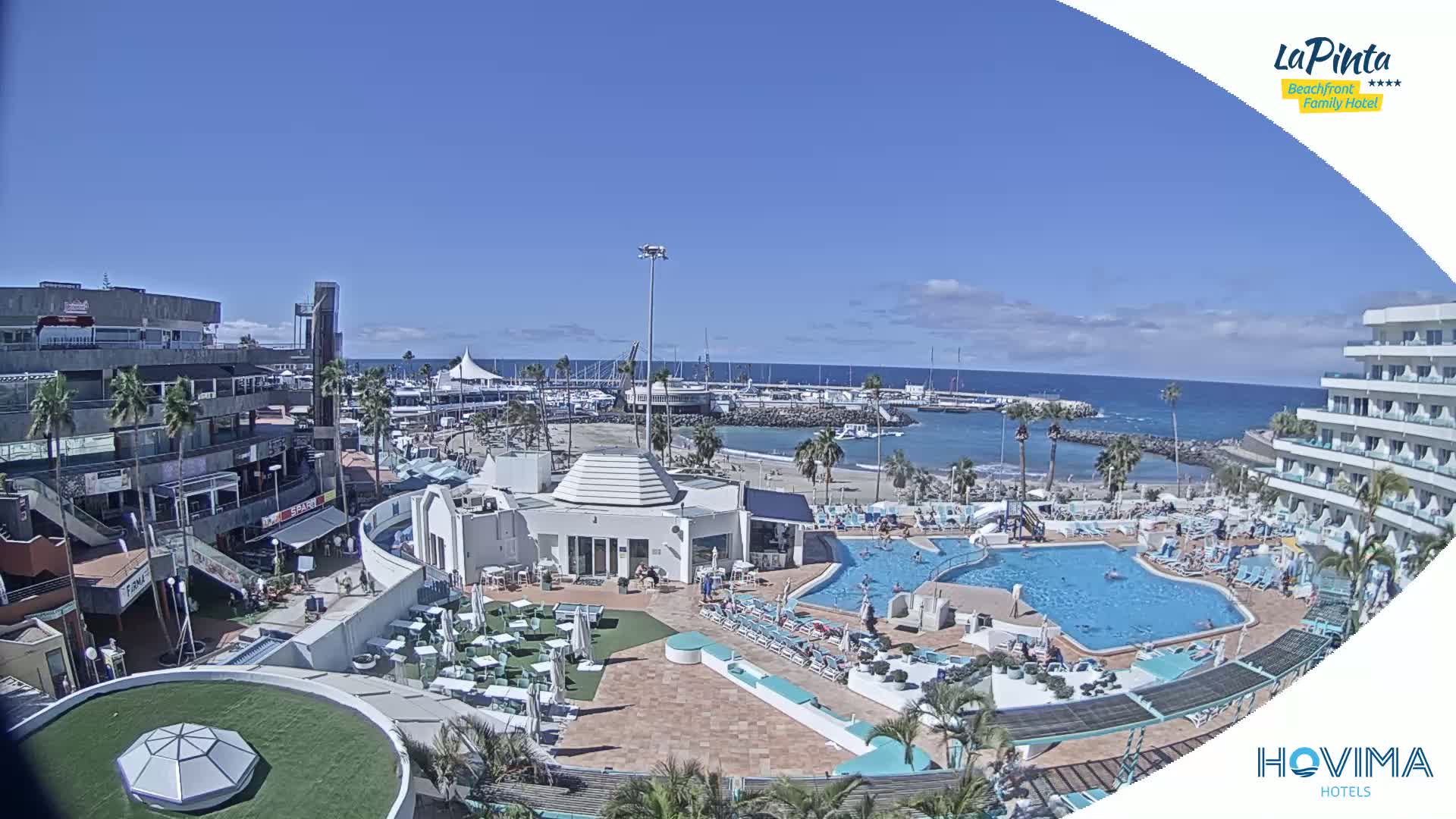 A sunny day overlooking a resort pool area, adjacent buildings, and a marina with boats on clear blue water.