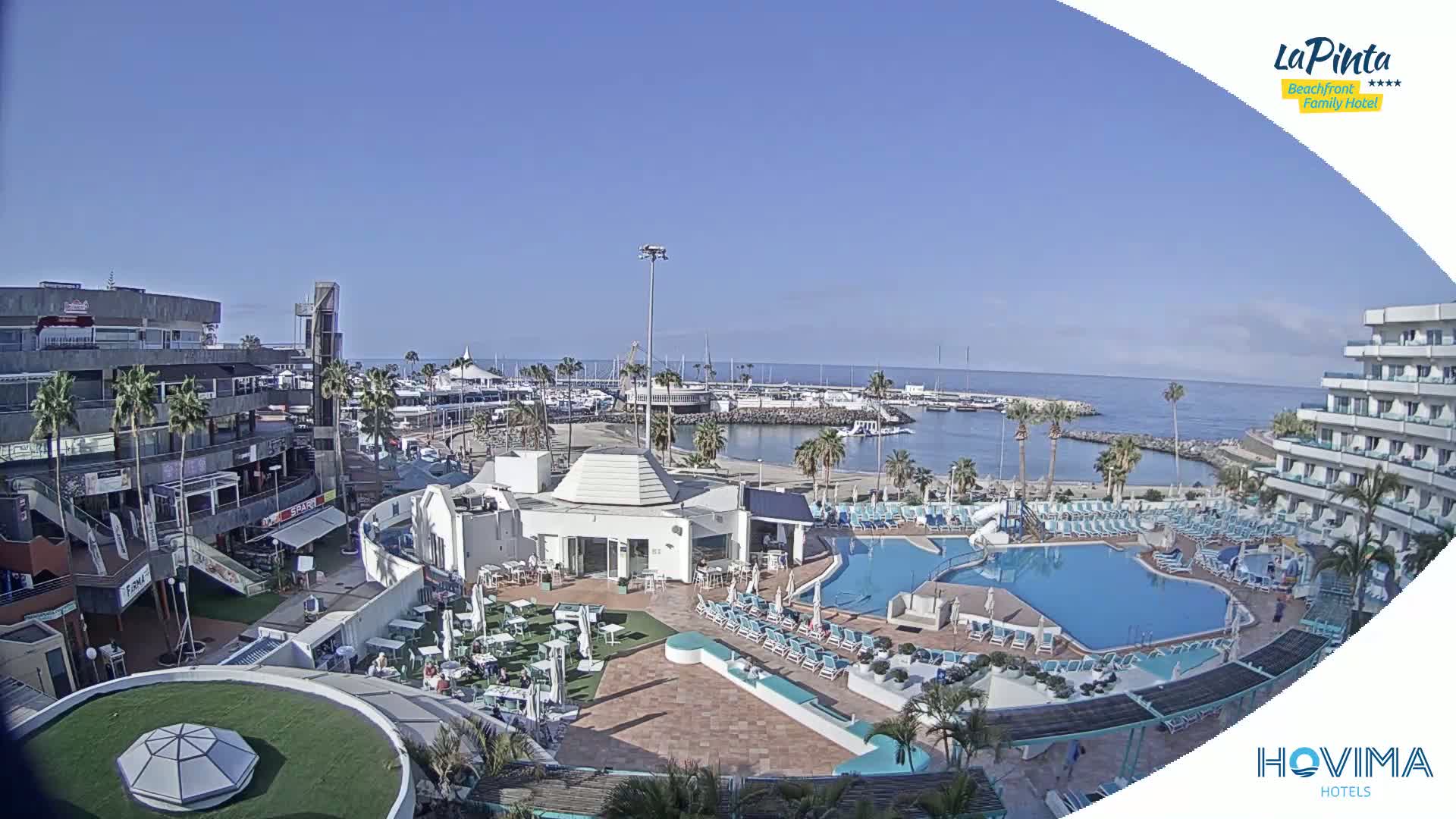 A resort pool area with a marina and ocean in the background under a clear, sunny sky.