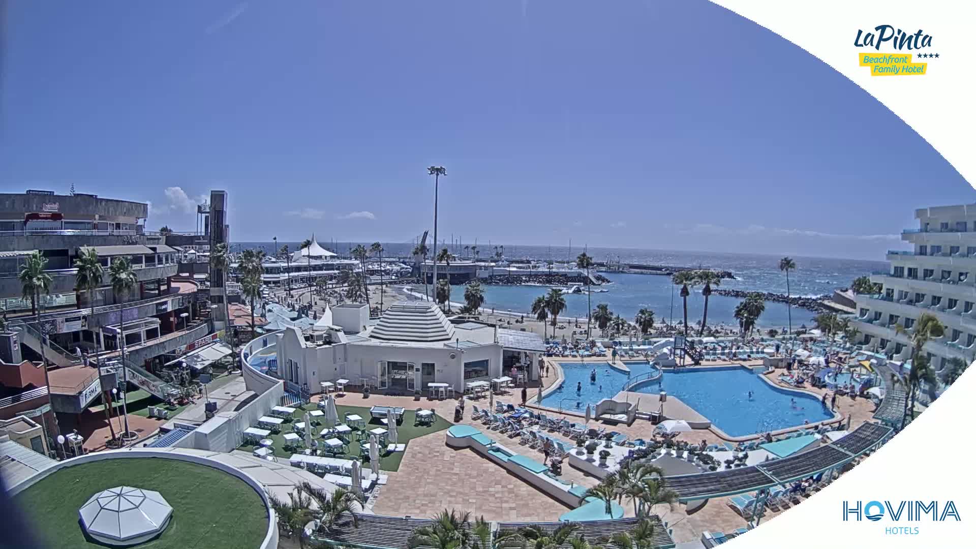A sunny resort scene overlooks a calm bay with a sandy beach, palm trees, and a large pool surrounded by lounge chairs and buildings.