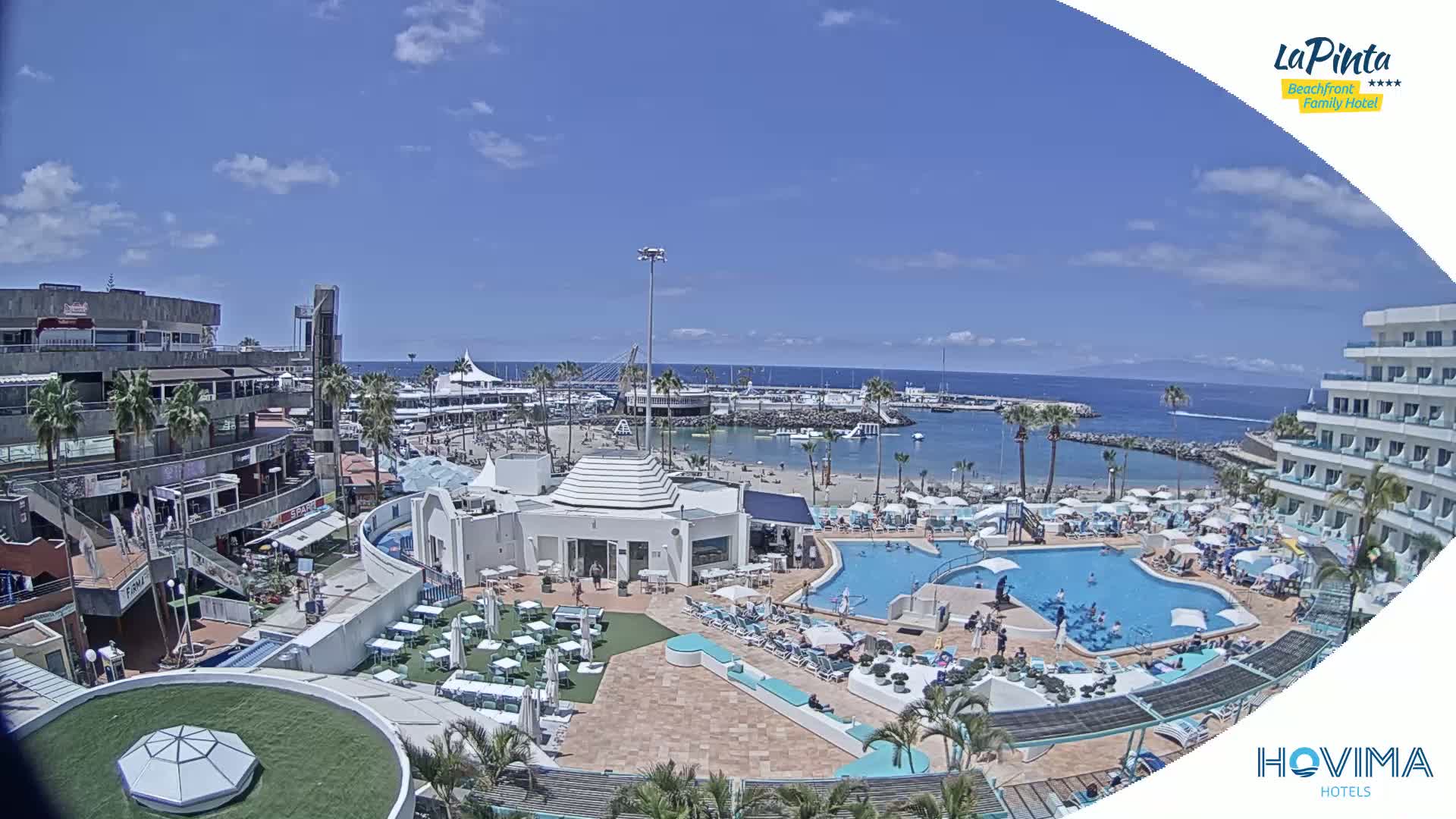 A sunny resort overlooks a calm bay with a marina, featuring a swimming pool and numerous lounge chairs surrounded by buildings.