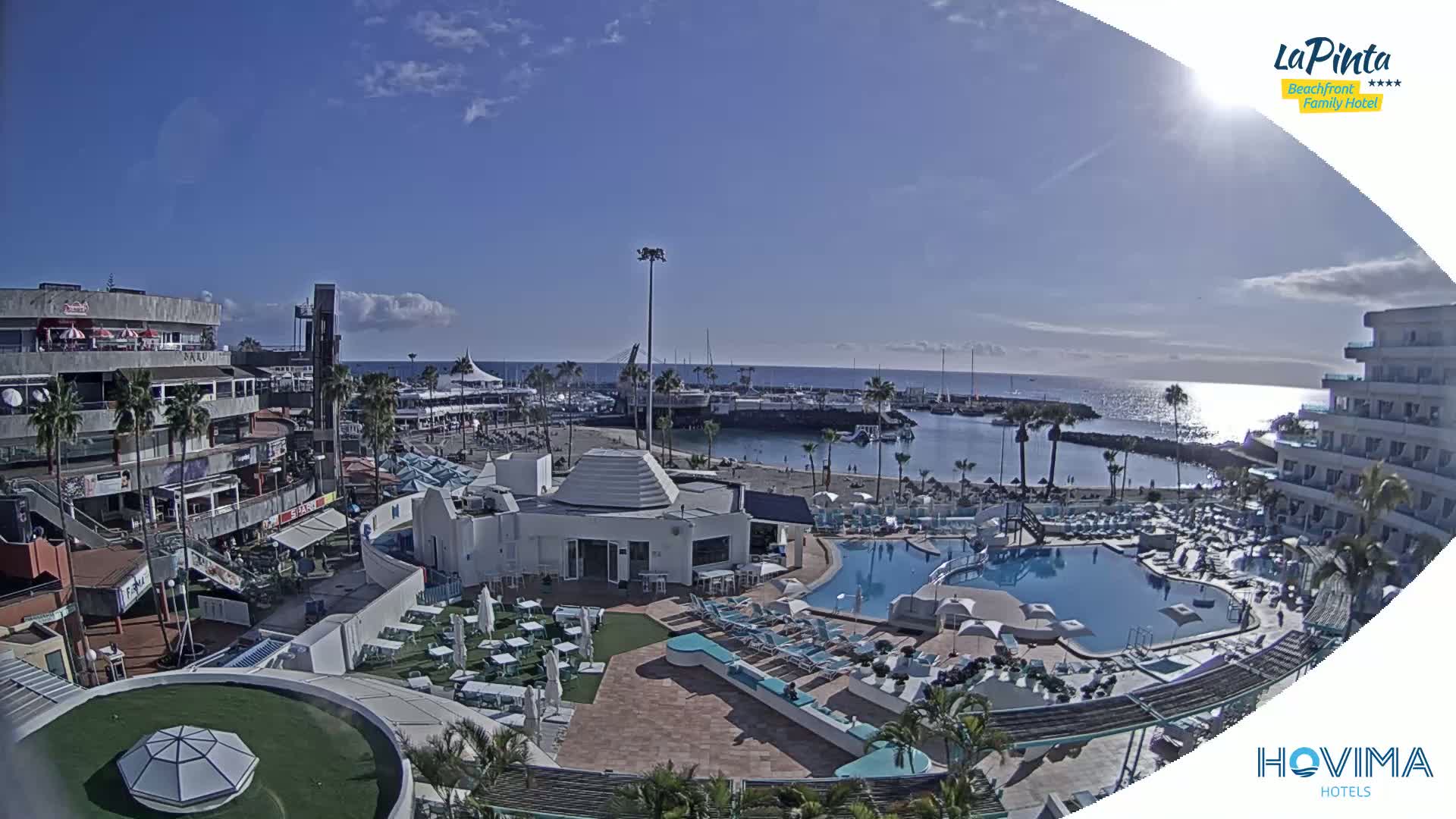 A resort with a pool and surrounding buildings overlooks a marina on a sunny day.