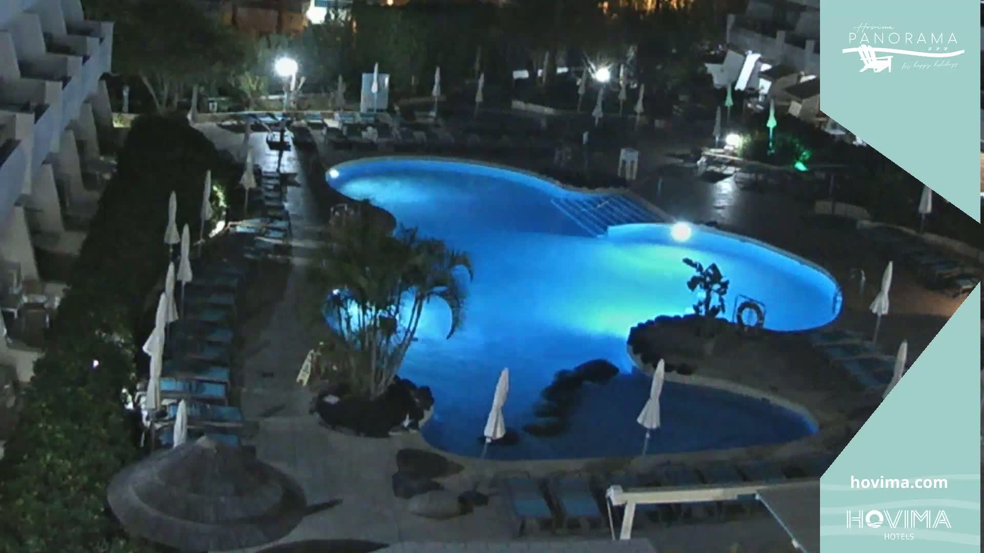 An illuminated, kidney-shaped swimming pool surrounded by lounge chairs and palm trees at night.