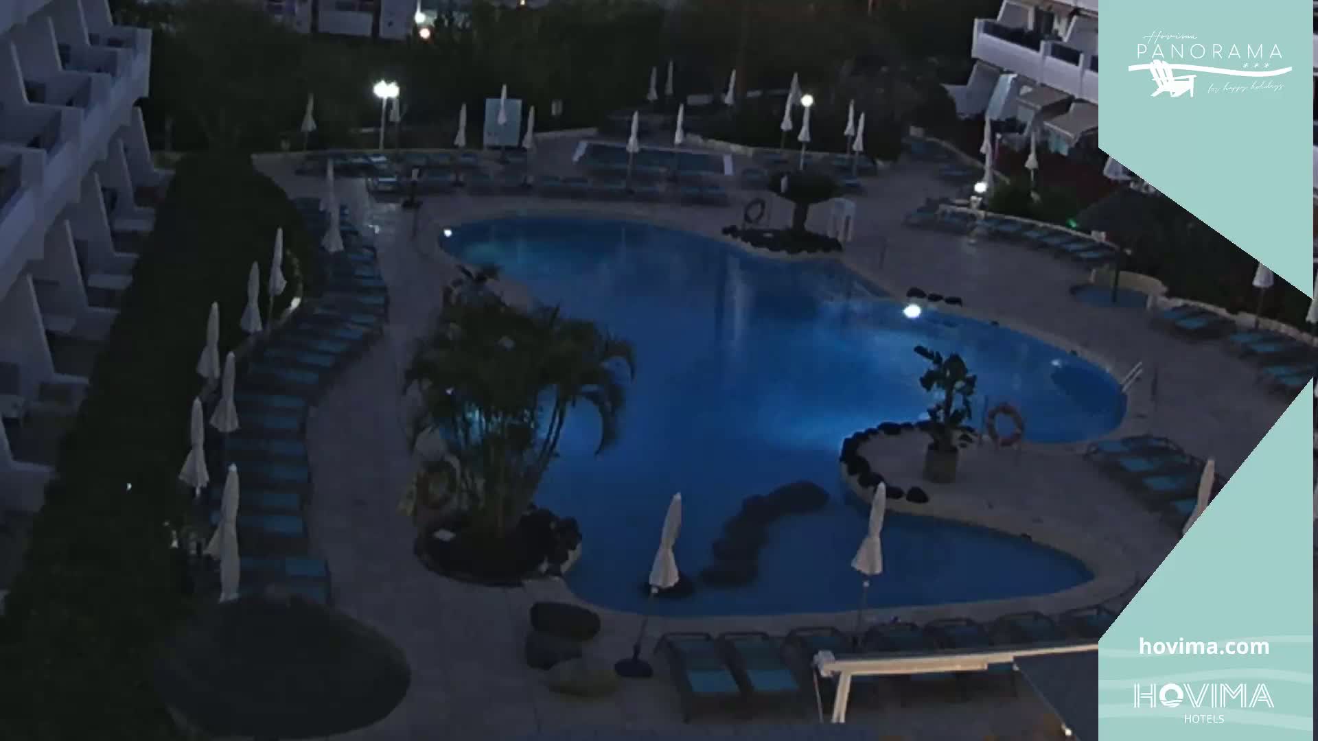 An illuminated swimming pool surrounded by lounge chairs and palm trees at night.