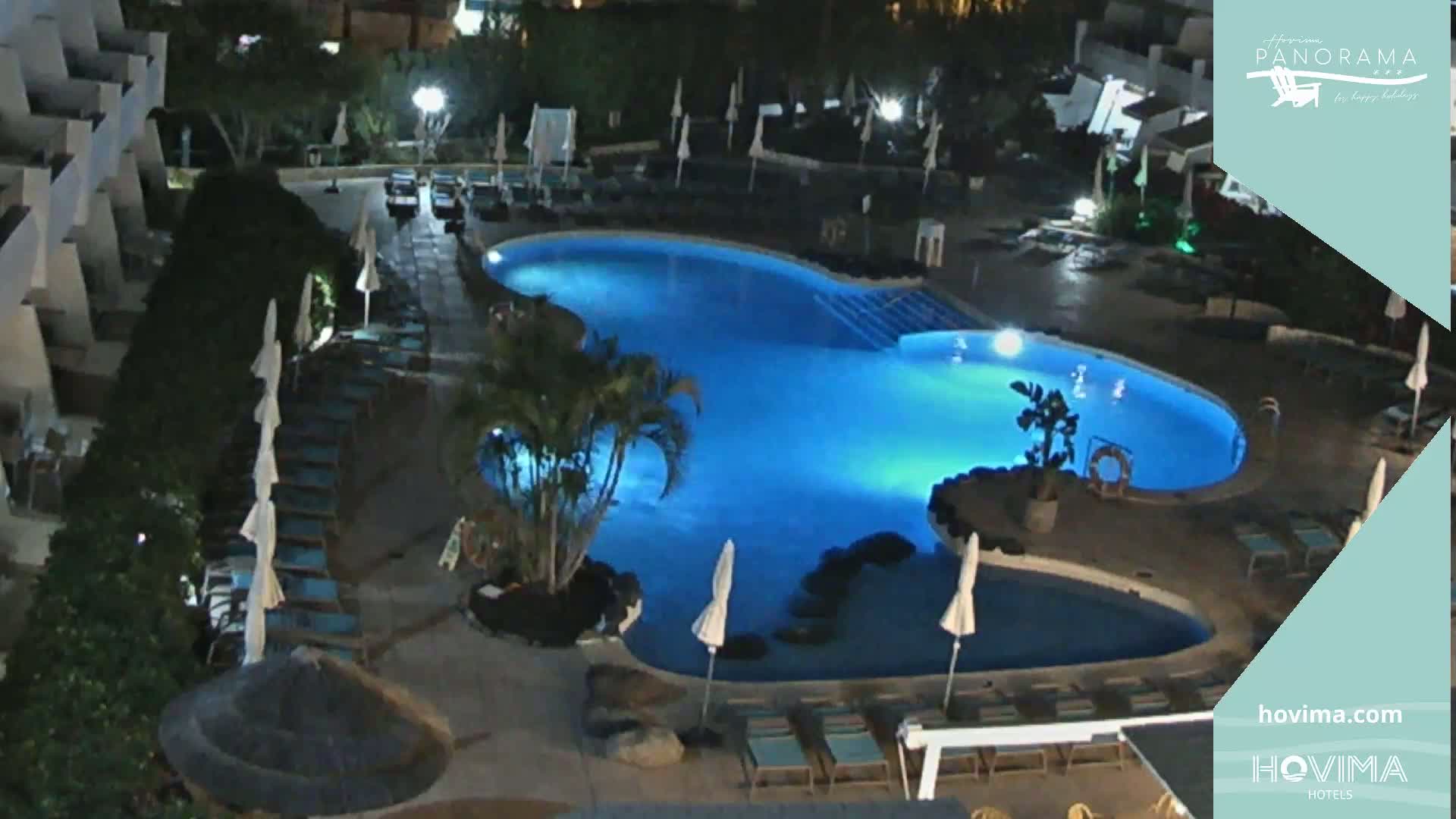 An illuminated, kidney-shaped swimming pool surrounded by lounge chairs and palm trees at night.
