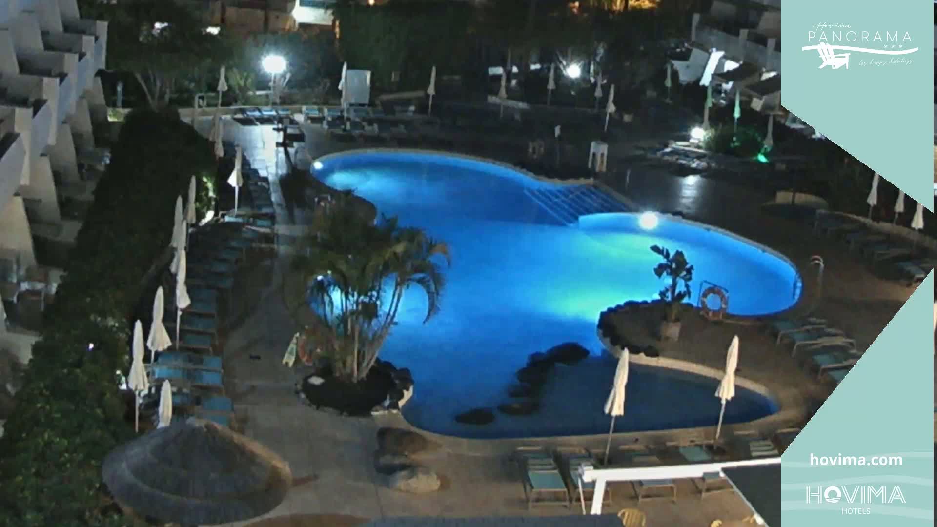 An illuminated swimming pool surrounded by lounge chairs and palm trees at night.