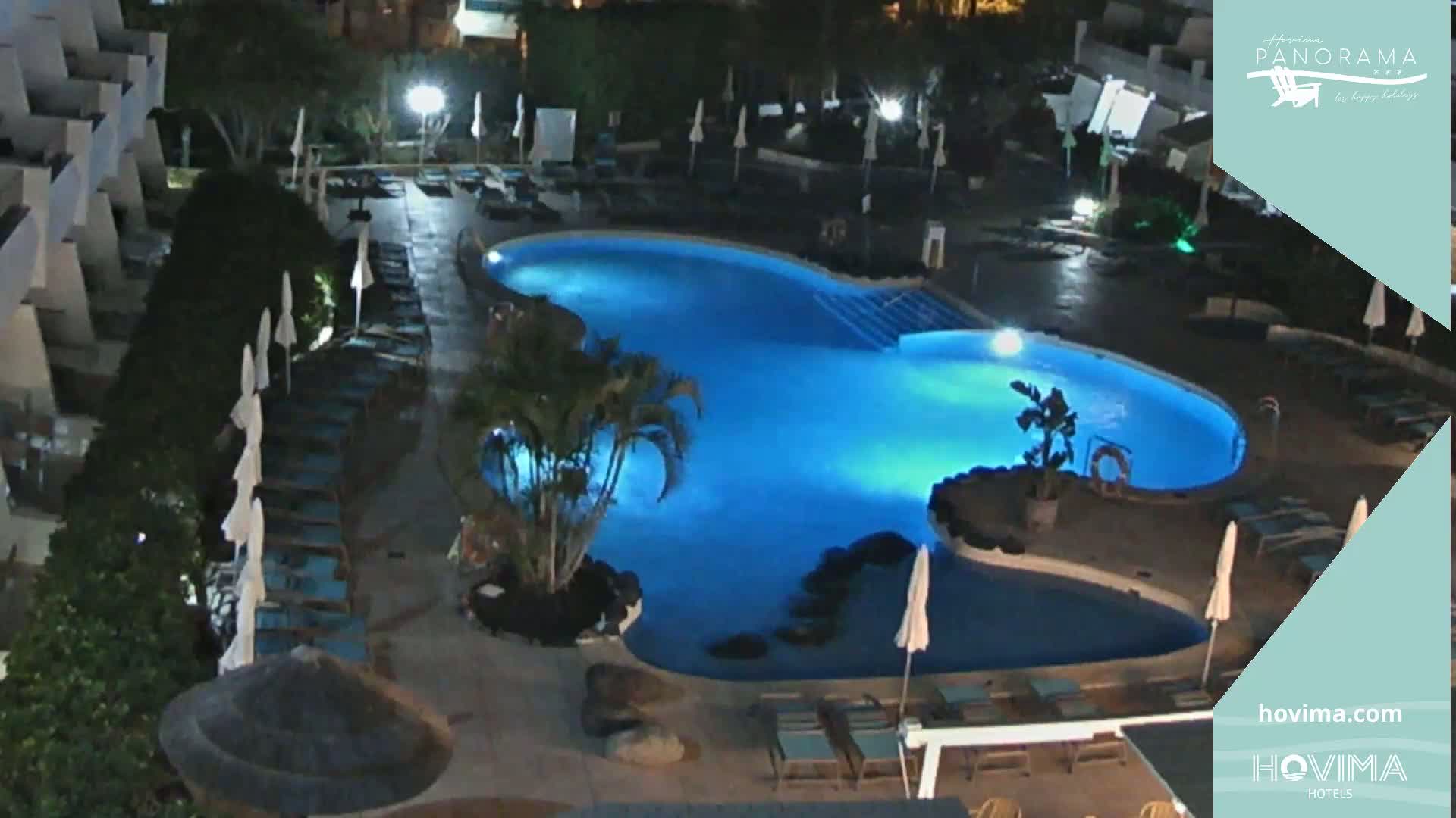 An illuminated, irregularly shaped swimming pool surrounded by lounge chairs and palm trees at night.