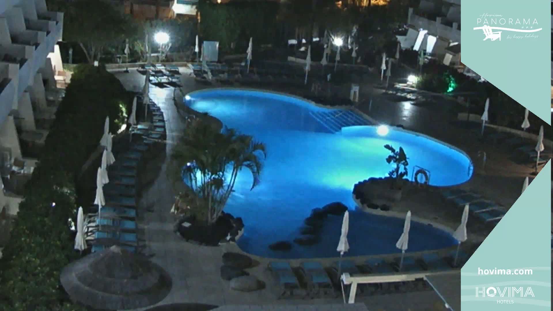 An illuminated, kidney-shaped swimming pool at night, surrounded by lounge chairs and palm trees.