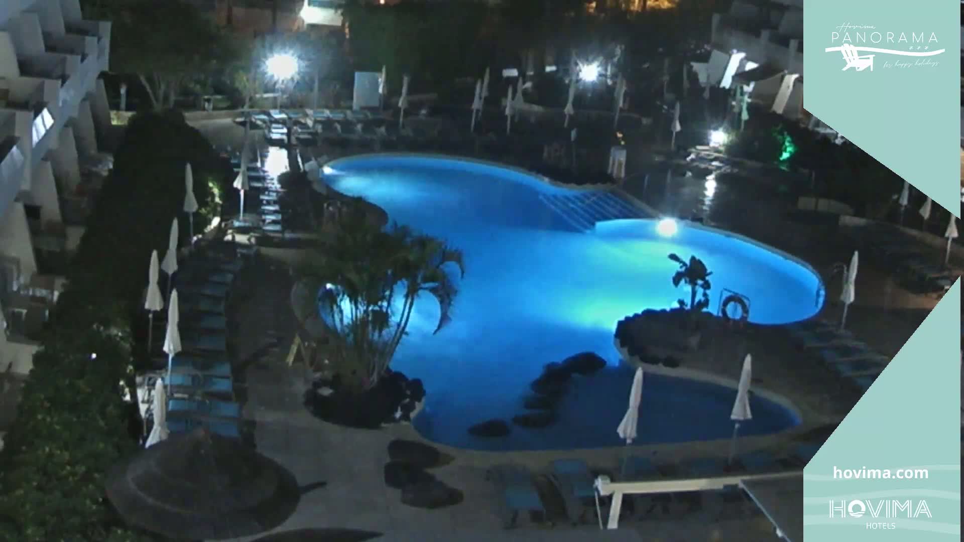 A brightly lit, kidney-shaped swimming pool surrounded by lounge chairs and palm trees at night.