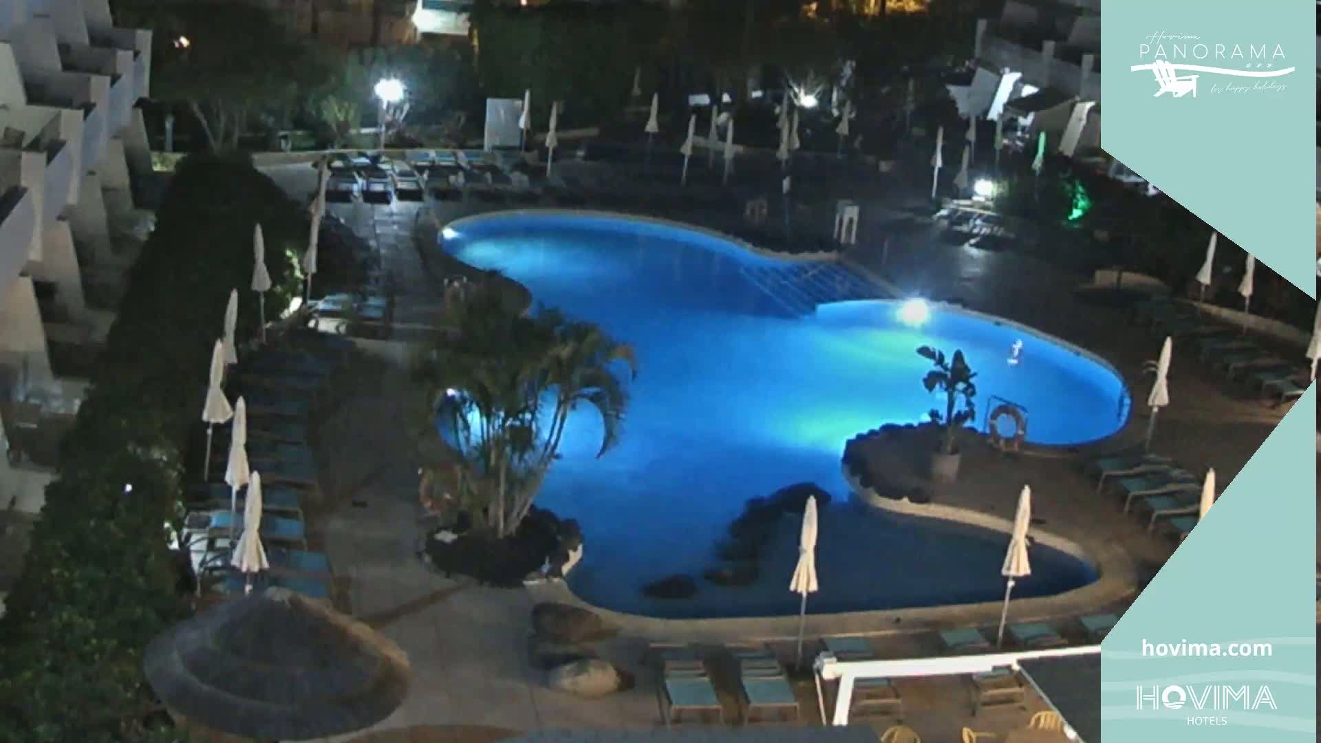 An illuminated swimming pool at night, surrounded by lounge chairs and palm trees.