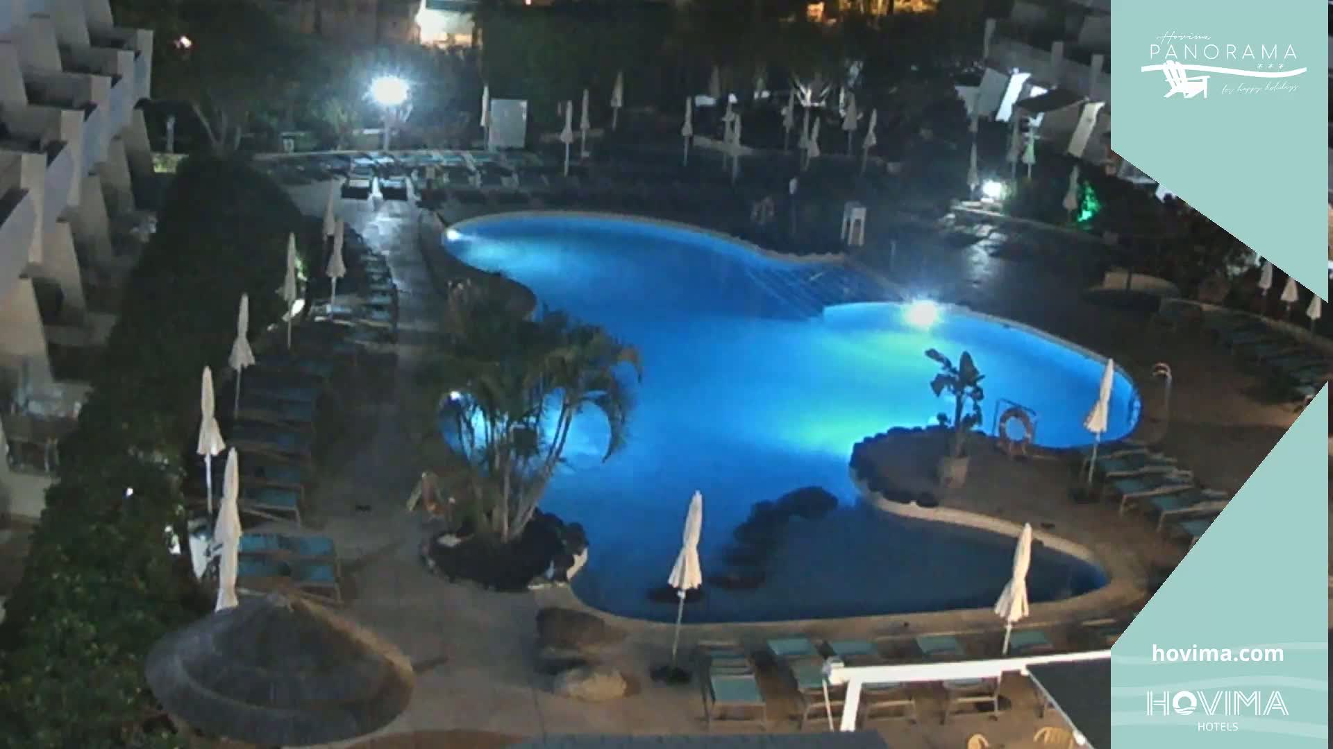 An illuminated, kidney-shaped swimming pool surrounded by lounge chairs and palm trees at night.