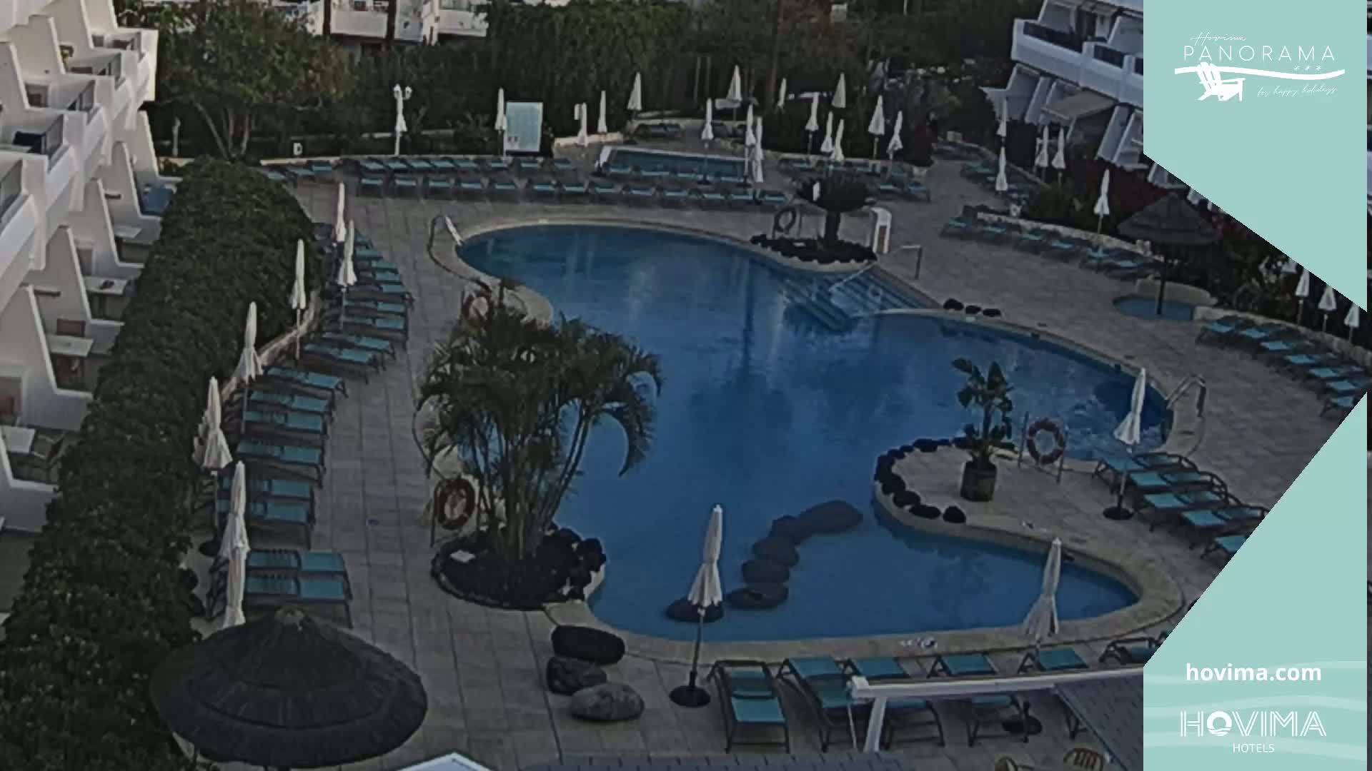 An outdoor pool surrounded by lounge chairs and palm trees, situated next to a white building.