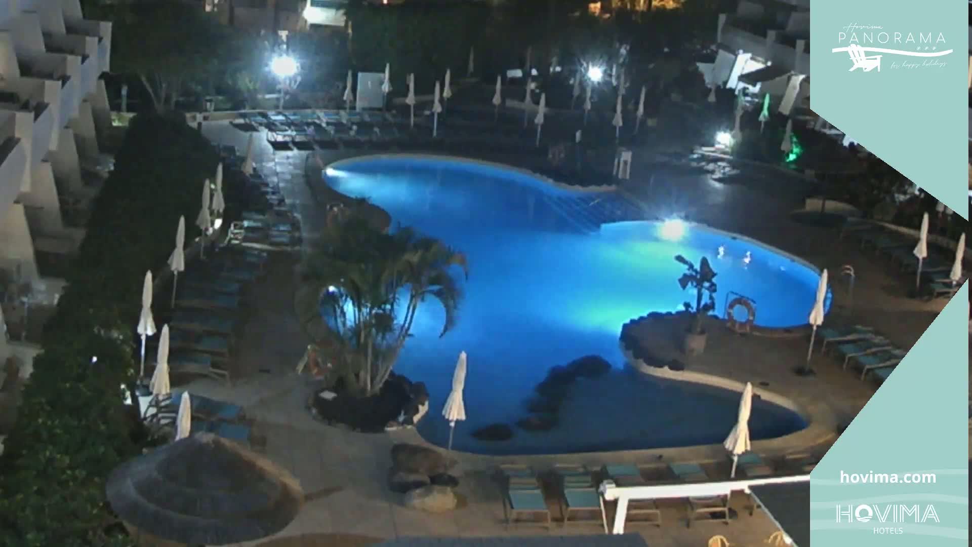 An illuminated, kidney-shaped swimming pool at night is surrounded by lounge chairs and palm trees next to a building.