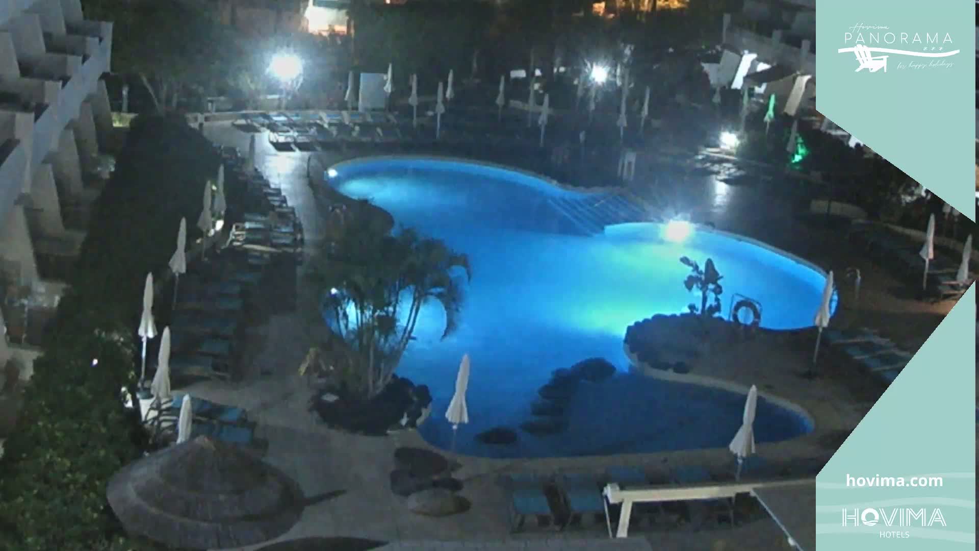 An illuminated, irregularly shaped swimming pool at night, surrounded by lounge chairs and palm trees.
