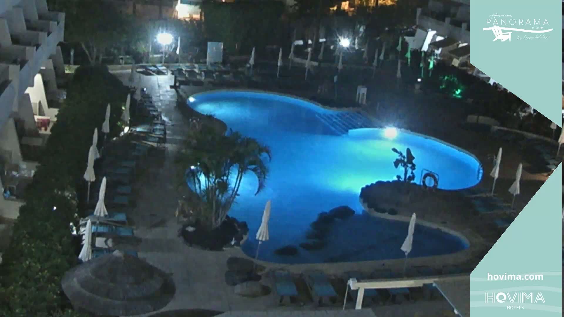 An illuminated, kidney-shaped swimming pool at night, surrounded by lounge chairs and palm trees.