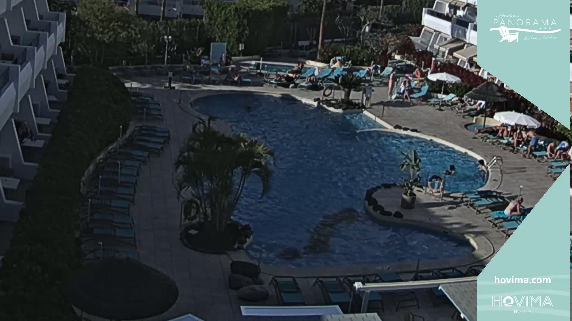 An outdoor swimming pool surrounded by lounge chairs and palm trees, with people relaxing and swimming on a sunny day.