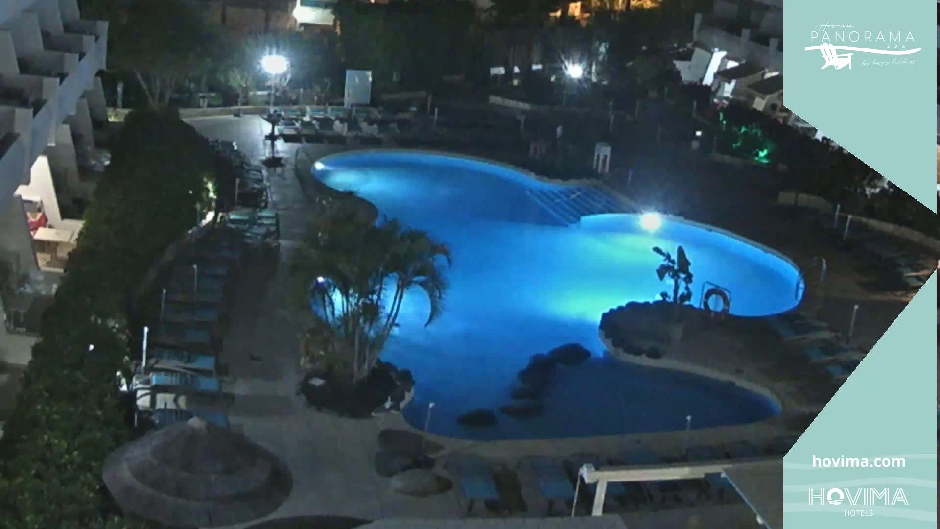 An illuminated, irregularly shaped swimming pool is surrounded by lounge chairs and tropical plants at night.