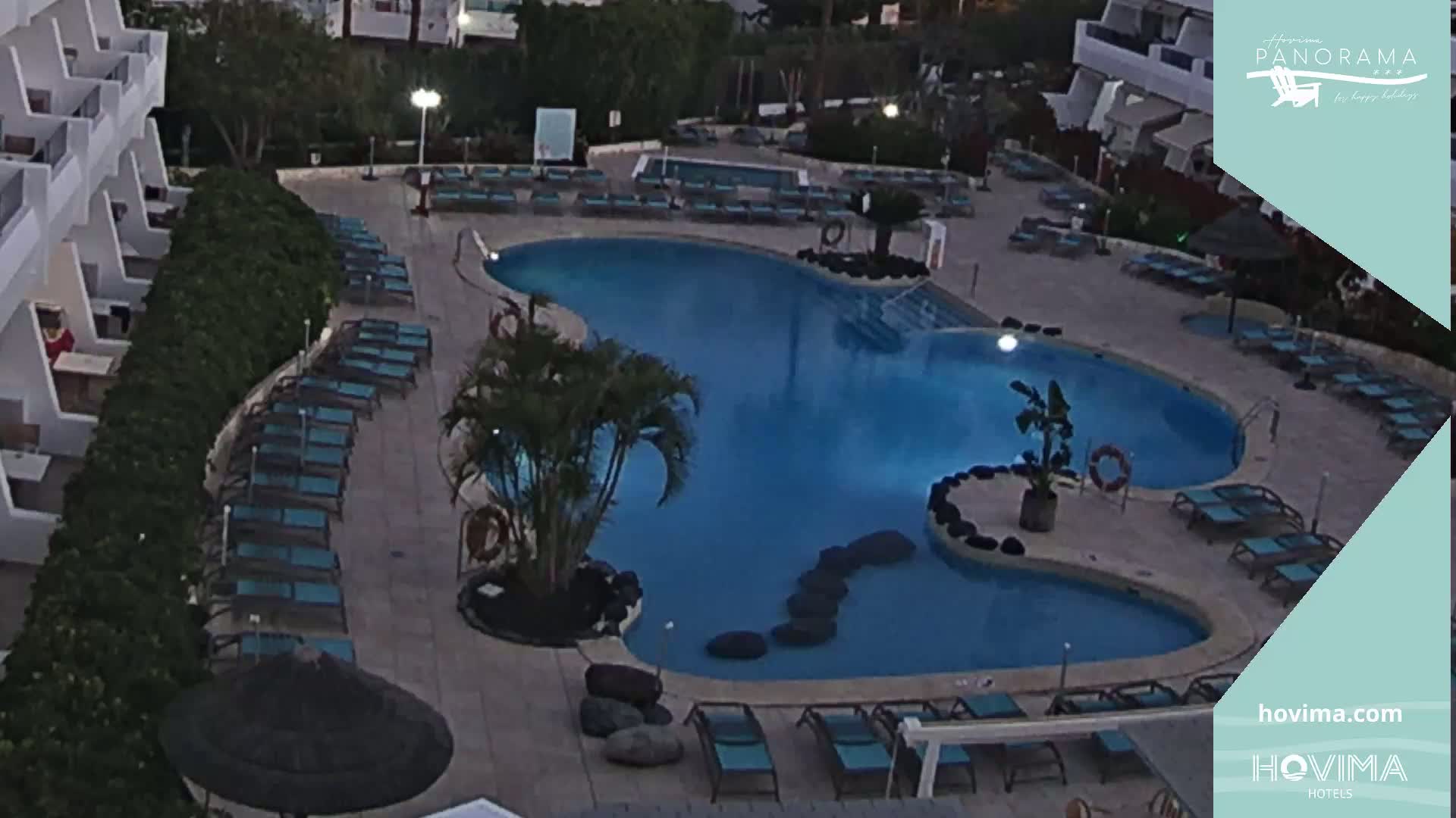 An outdoor pool at dusk, surrounded by lounge chairs and palm trees, next to a white building.