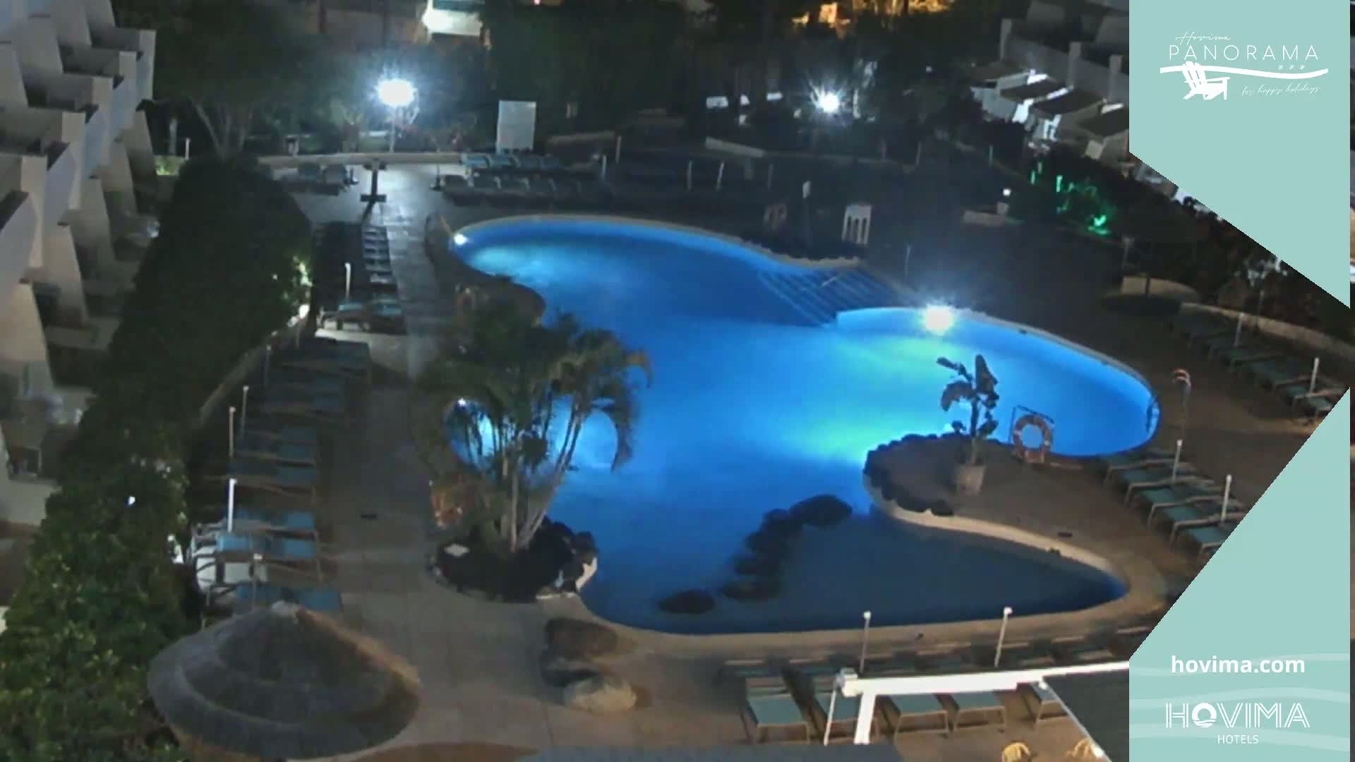 An illuminated, kidney-shaped swimming pool at night is surrounded by lounge chairs and palm trees next to a building.