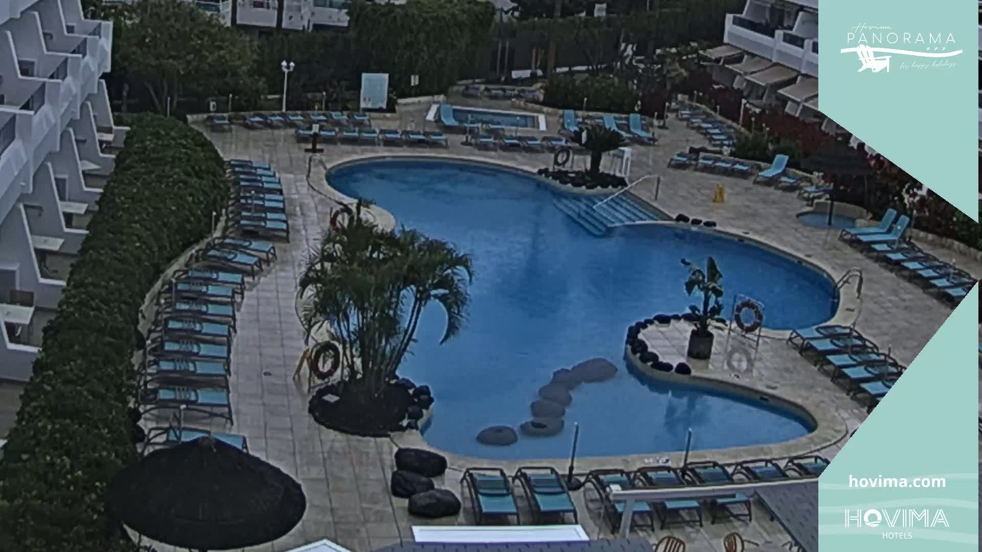 An outdoor pool with surrounding lounge chairs and palm trees under an overcast sky.
