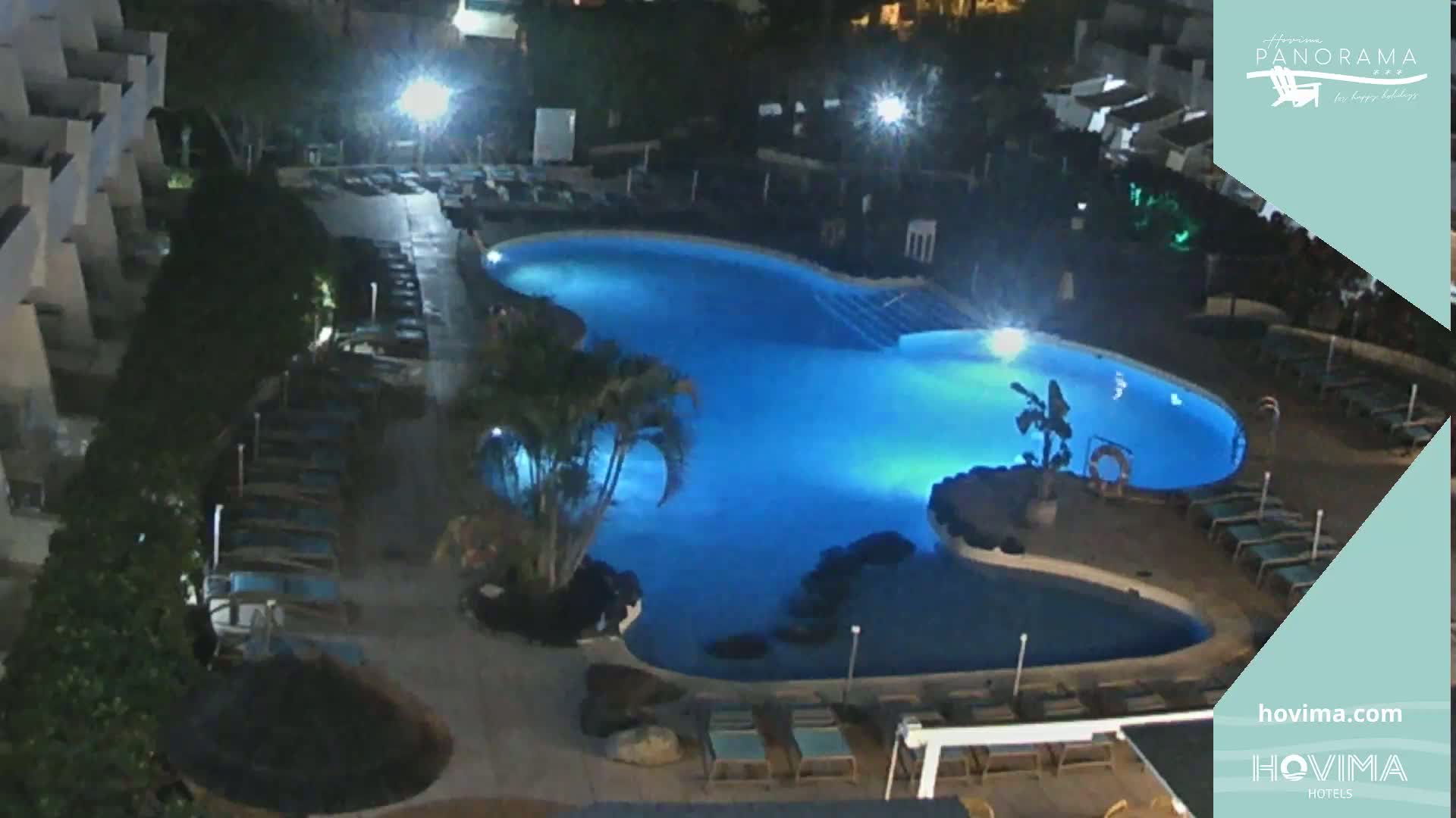 An illuminated swimming pool at night, surrounded by lounge chairs and palm trees, is situated next to a building.