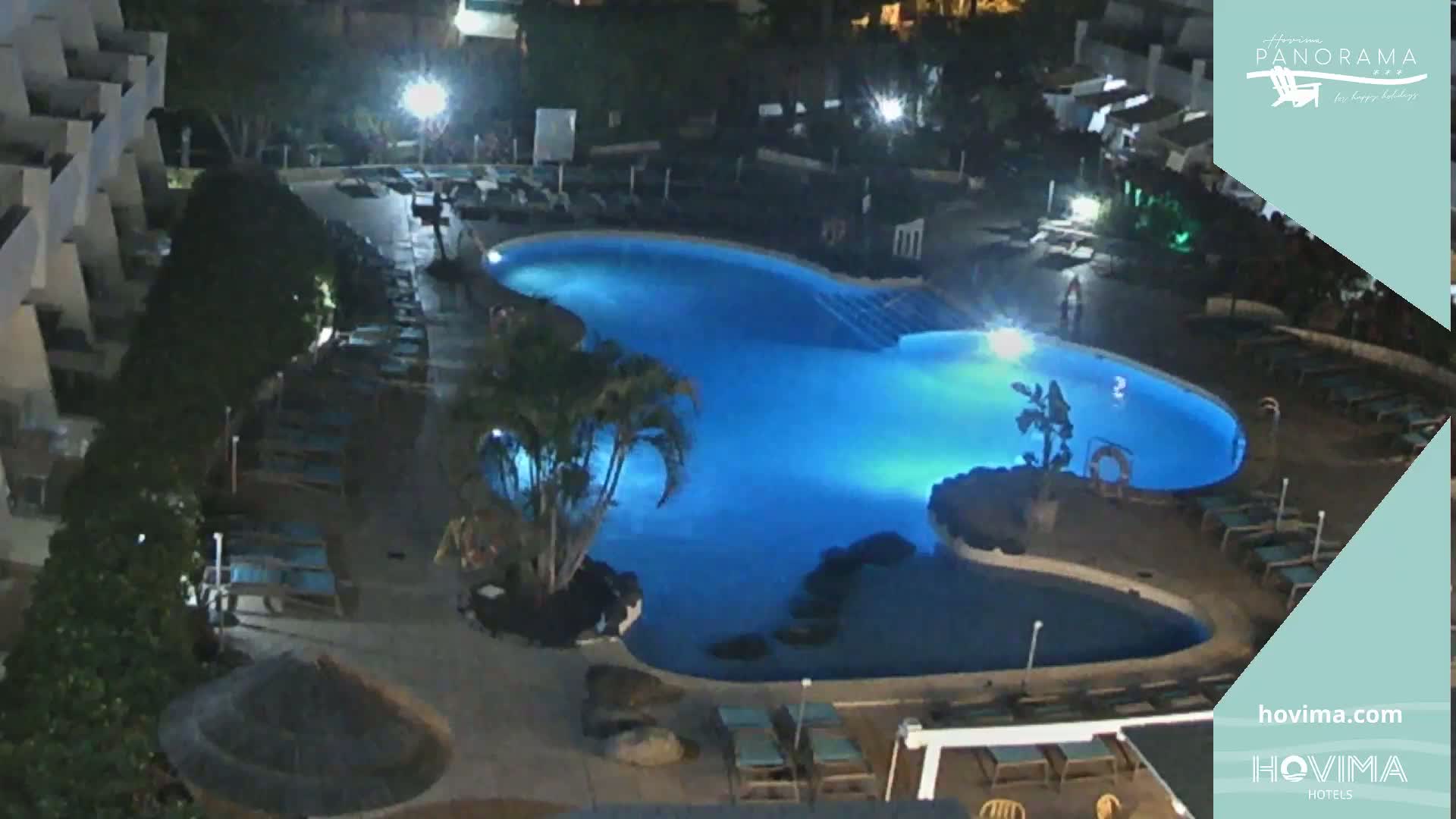 An illuminated swimming pool surrounded by lounge chairs and palm trees at night.