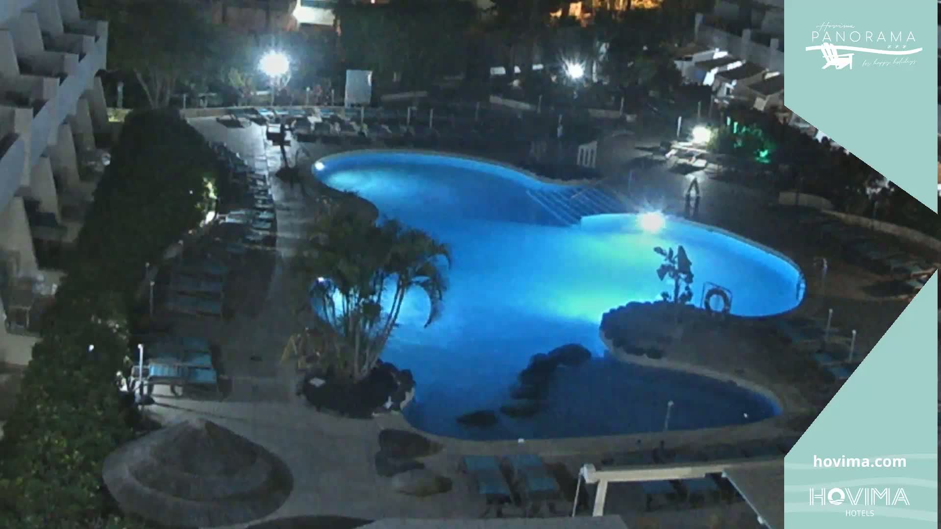 An illuminated swimming pool at night is surrounded by lounge chairs and palm trees near a multi-story building.