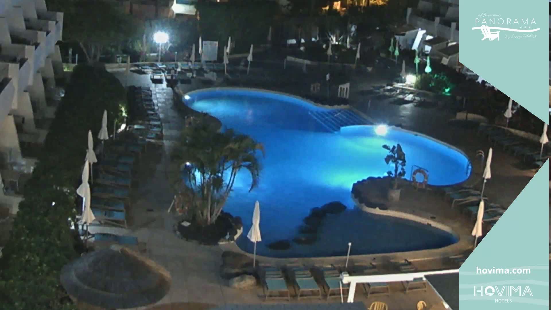 An illuminated swimming pool at night surrounded by lounge chairs and palm trees.