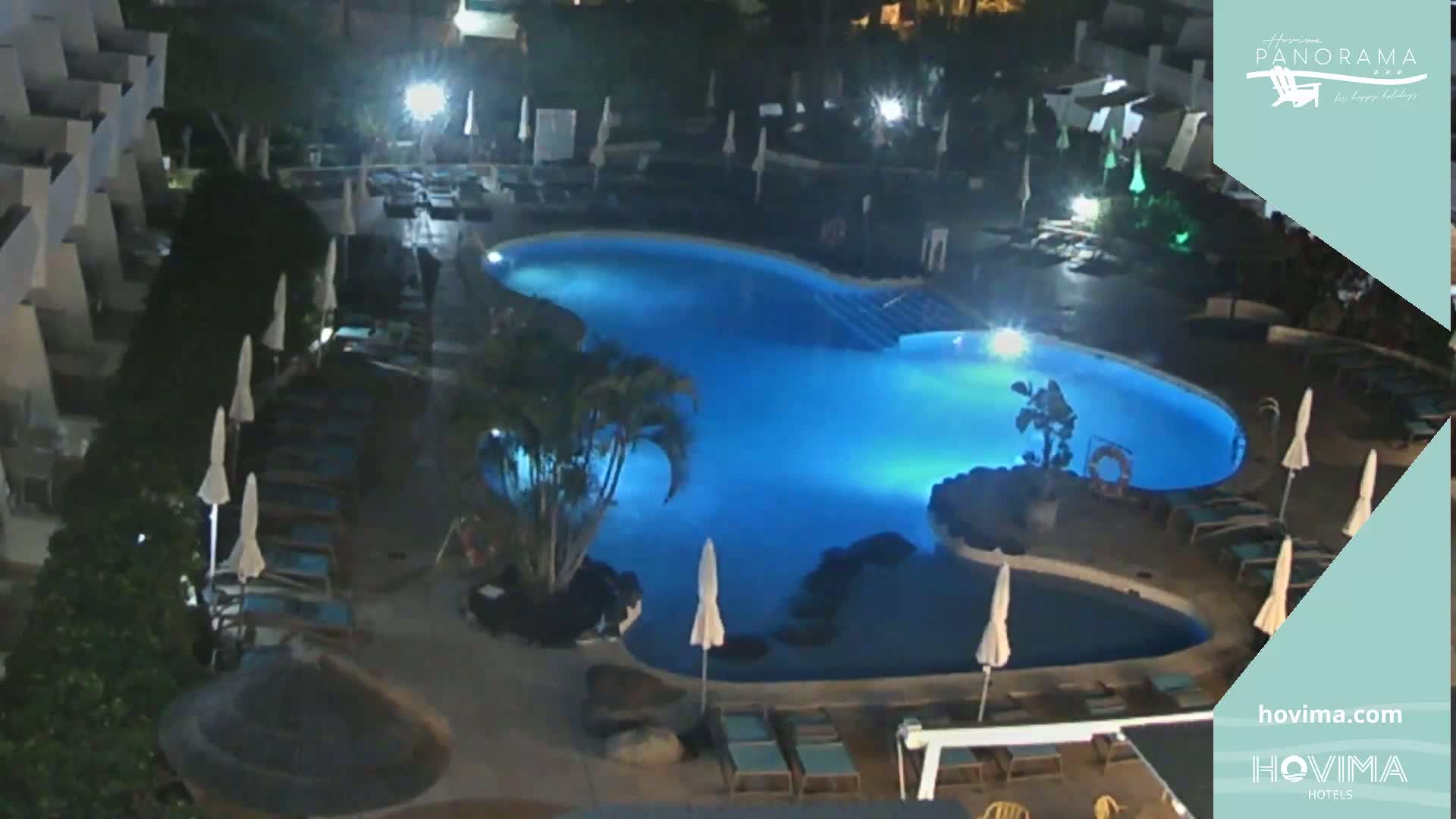 An illuminated swimming pool at night, surrounded by lounge chairs and palm trees.