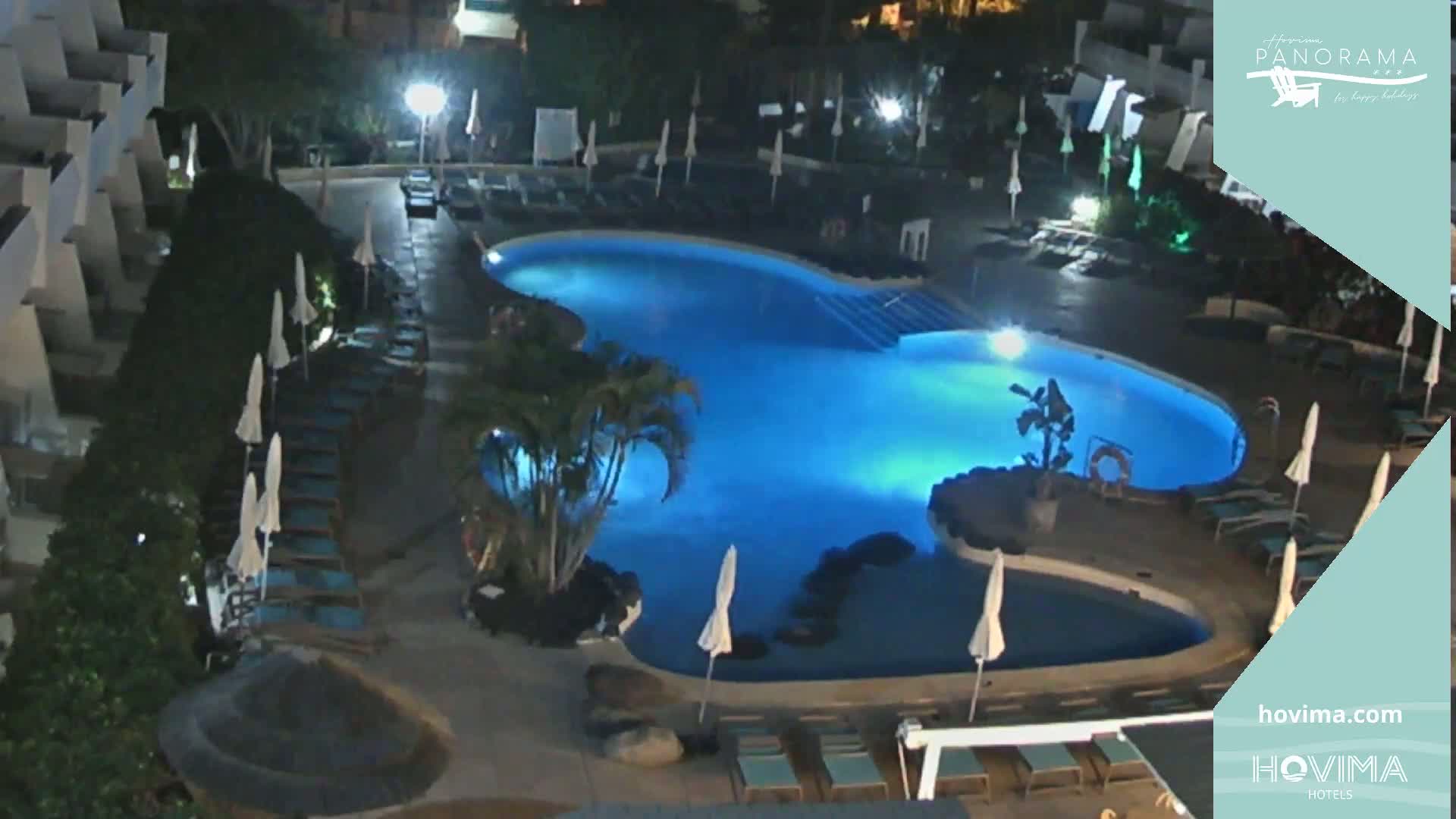 A brightly lit, kidney-shaped swimming pool surrounded by lounge chairs and palm trees at night.