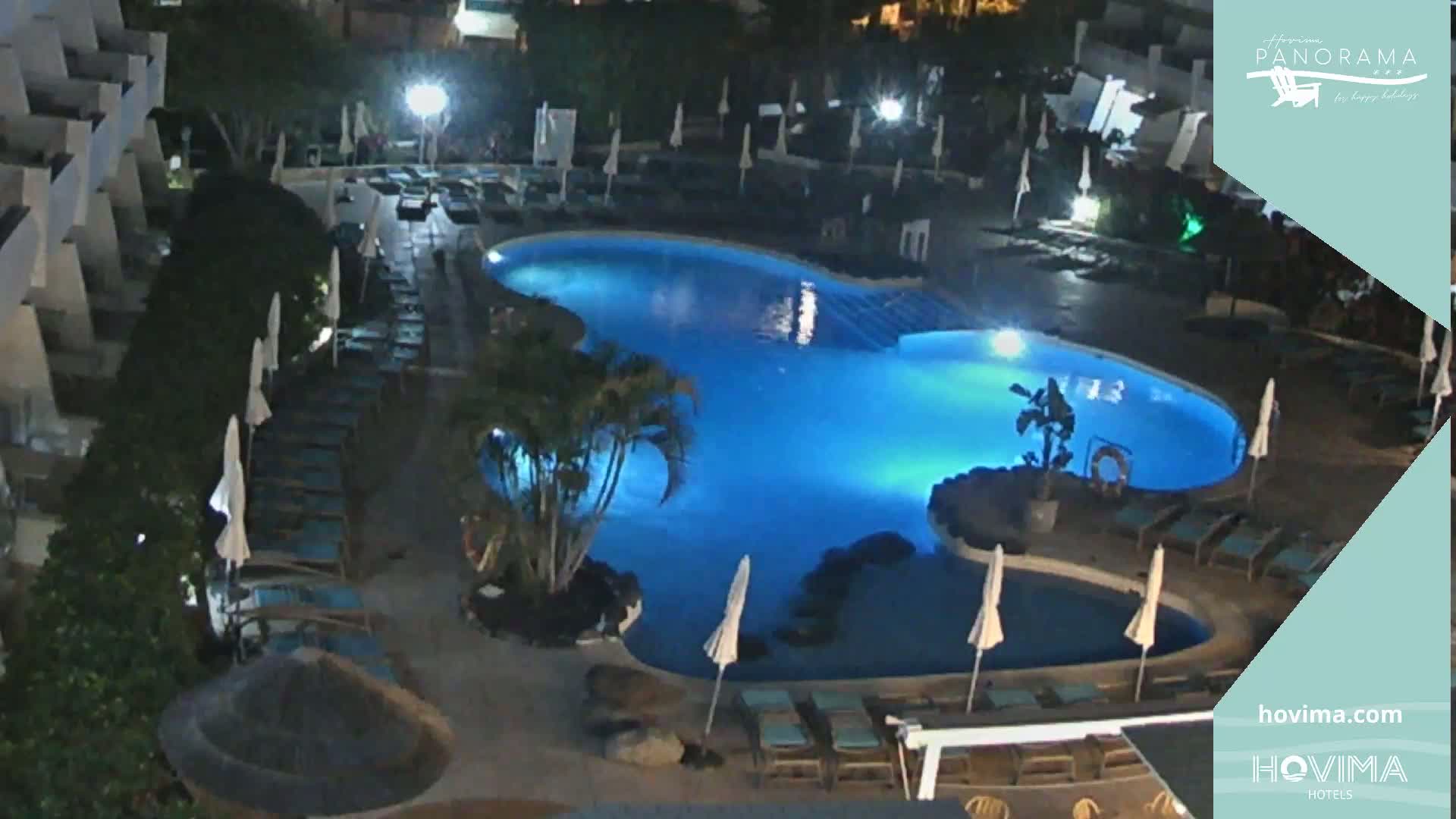 A brightly lit, kidney-shaped swimming pool surrounded by lounge chairs and palm trees at night.