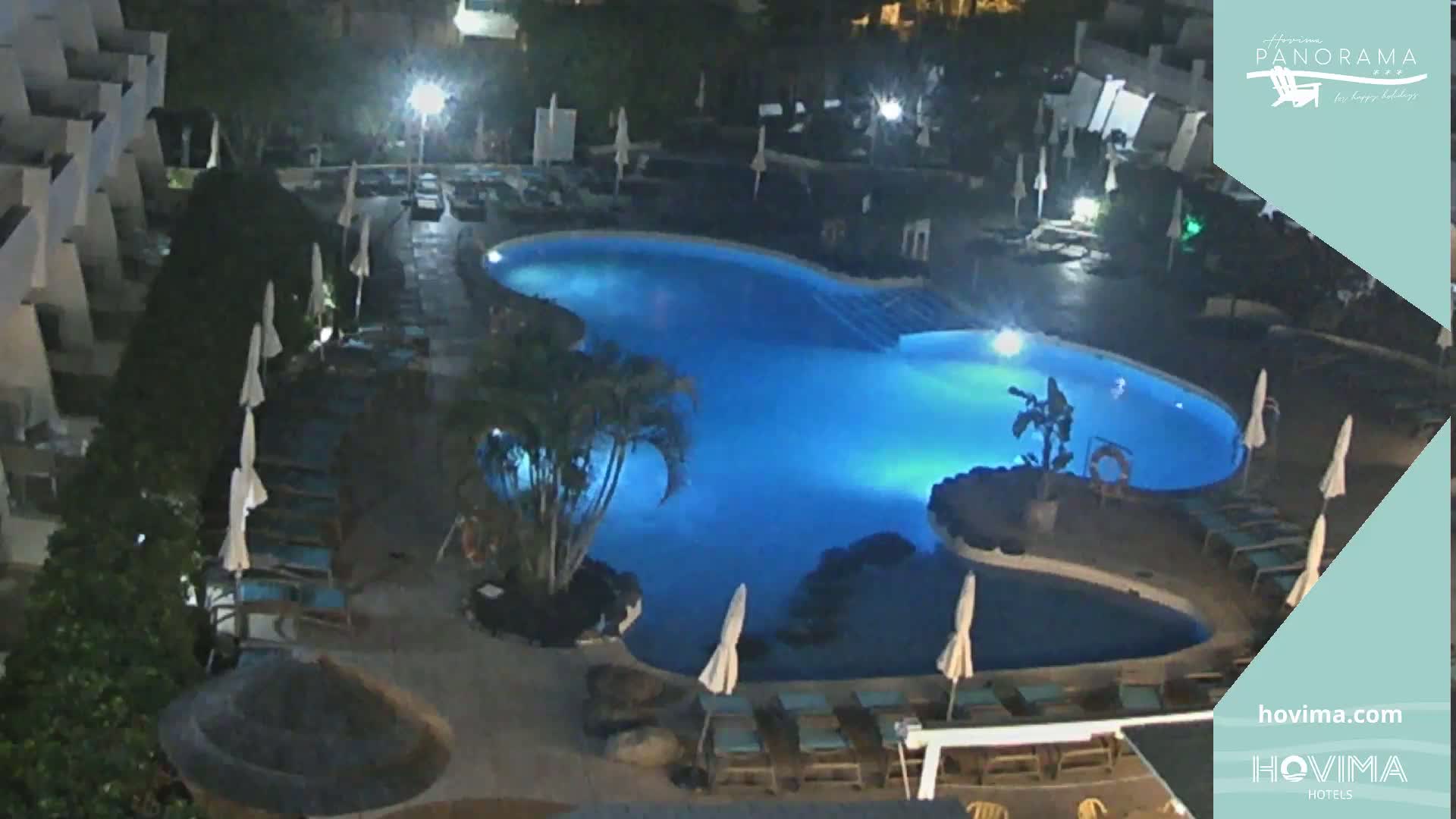 An illuminated, kidney-shaped swimming pool at night surrounded by lounge chairs and palm trees.