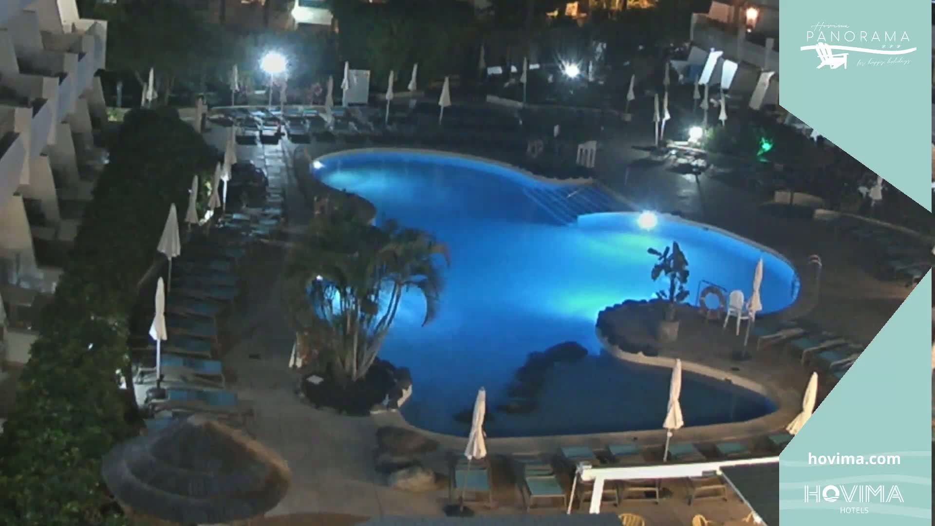 An illuminated swimming pool at night, surrounded by lounge chairs and palm trees.