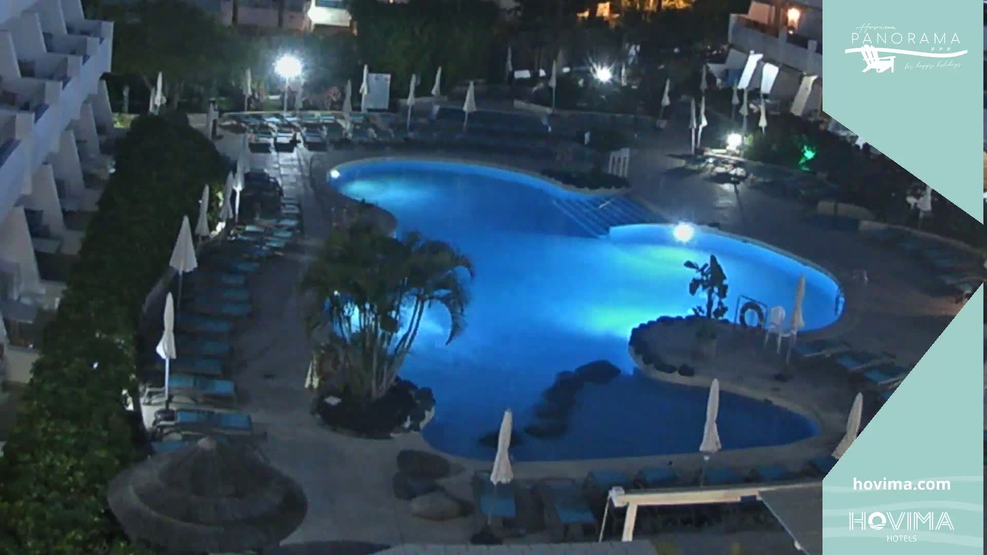 An illuminated outdoor swimming pool at night, surrounded by lounge chairs and palm trees, is next to a multi-story building.