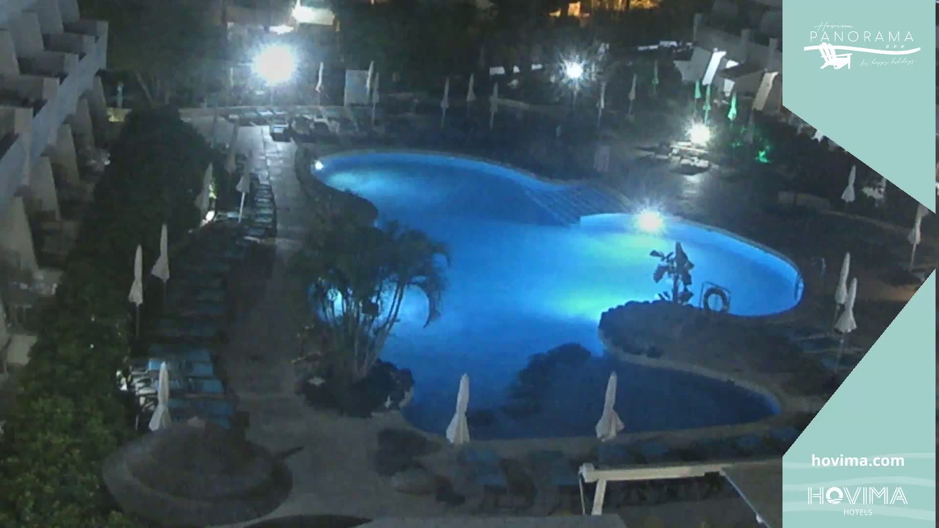 An illuminated, kidney-shaped swimming pool at night, surrounded by lounge chairs and palm trees.