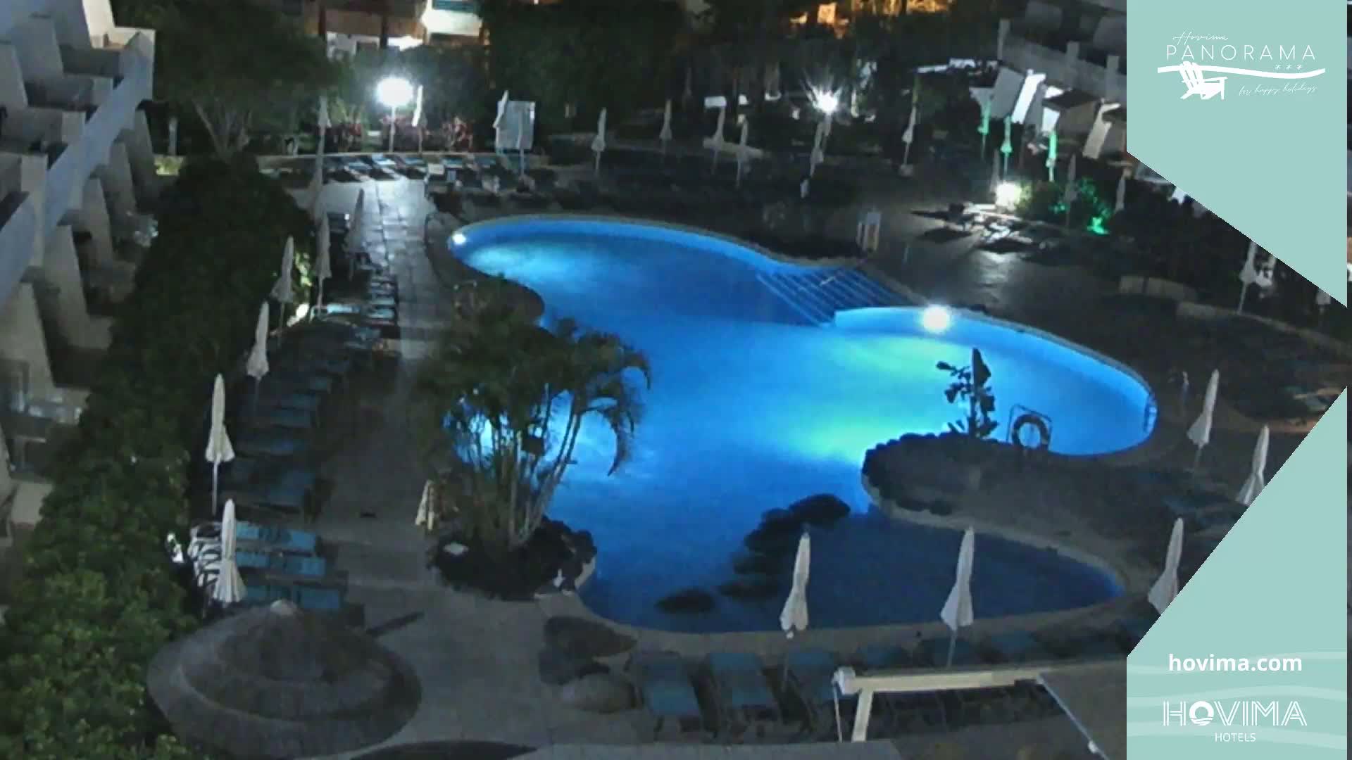 An illuminated, kidney-shaped swimming pool at night, surrounded by lounge chairs and palm trees.
