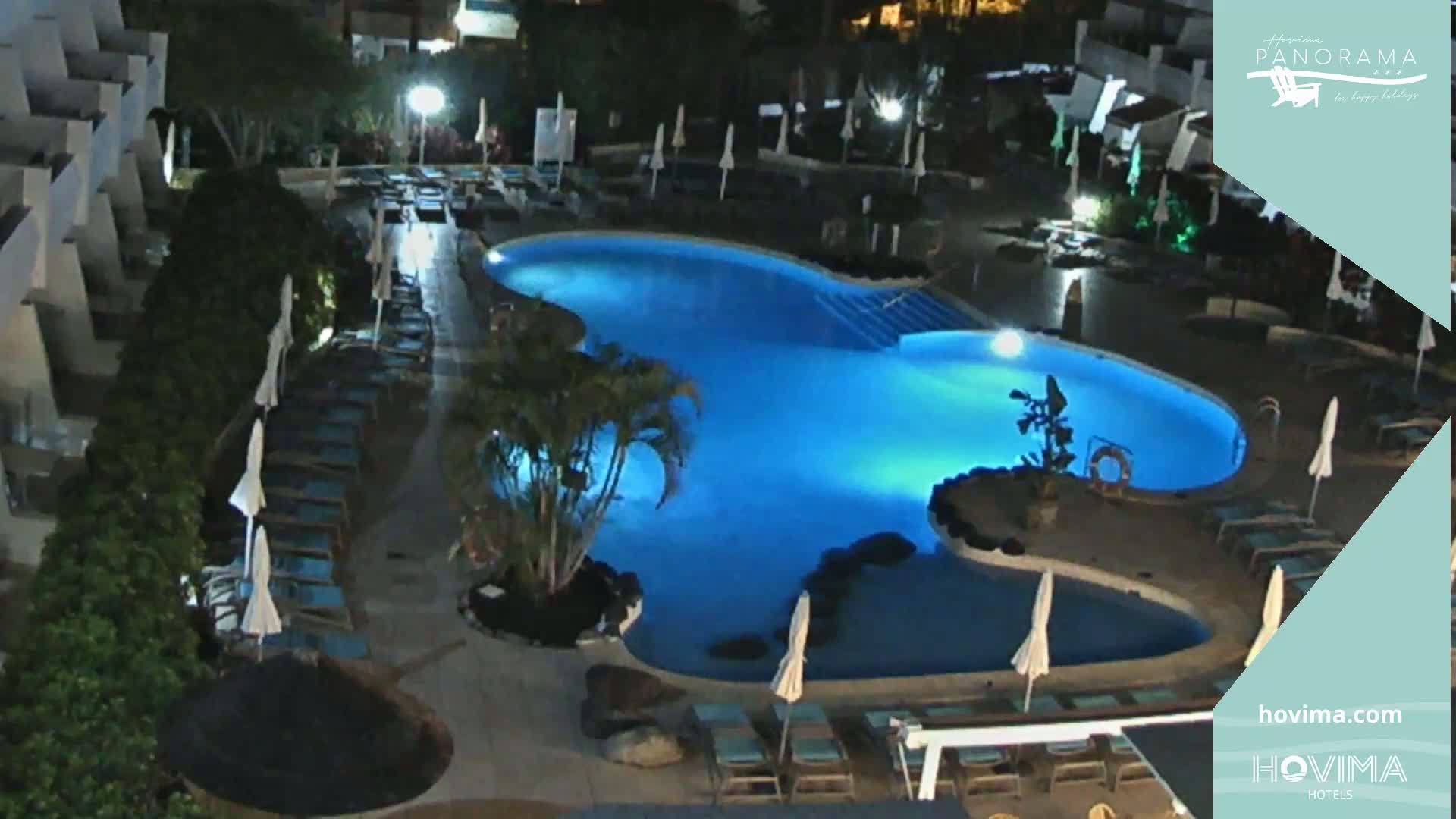 A brightly lit, kidney-shaped swimming pool surrounded by lounge chairs and palm trees at night.