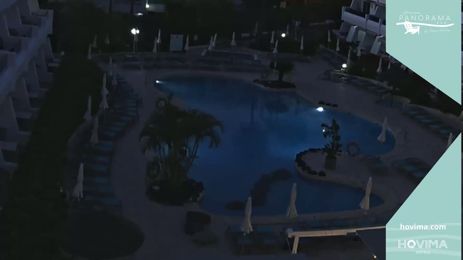 An illuminated swimming pool surrounded by lounge chairs and palm trees at night.