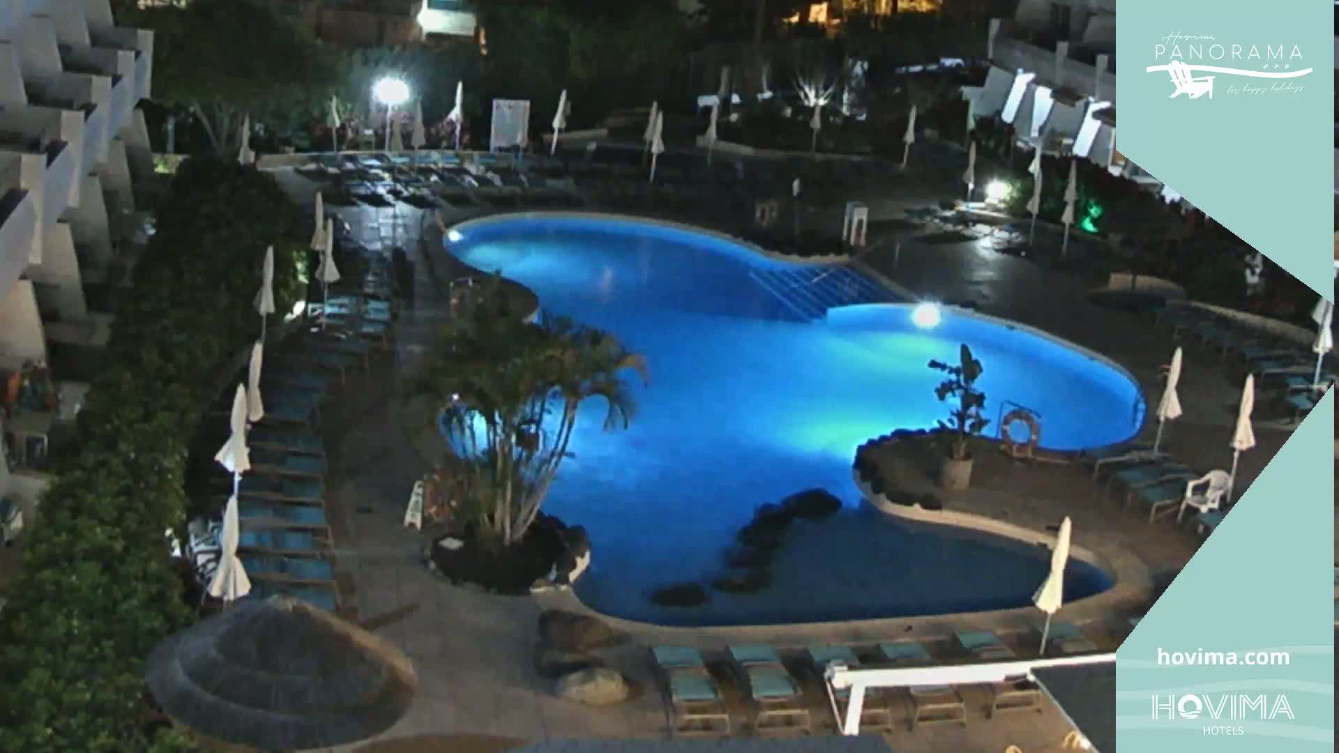 An illuminated kidney-shaped swimming pool at night, surrounded by lounge chairs and palm trees.