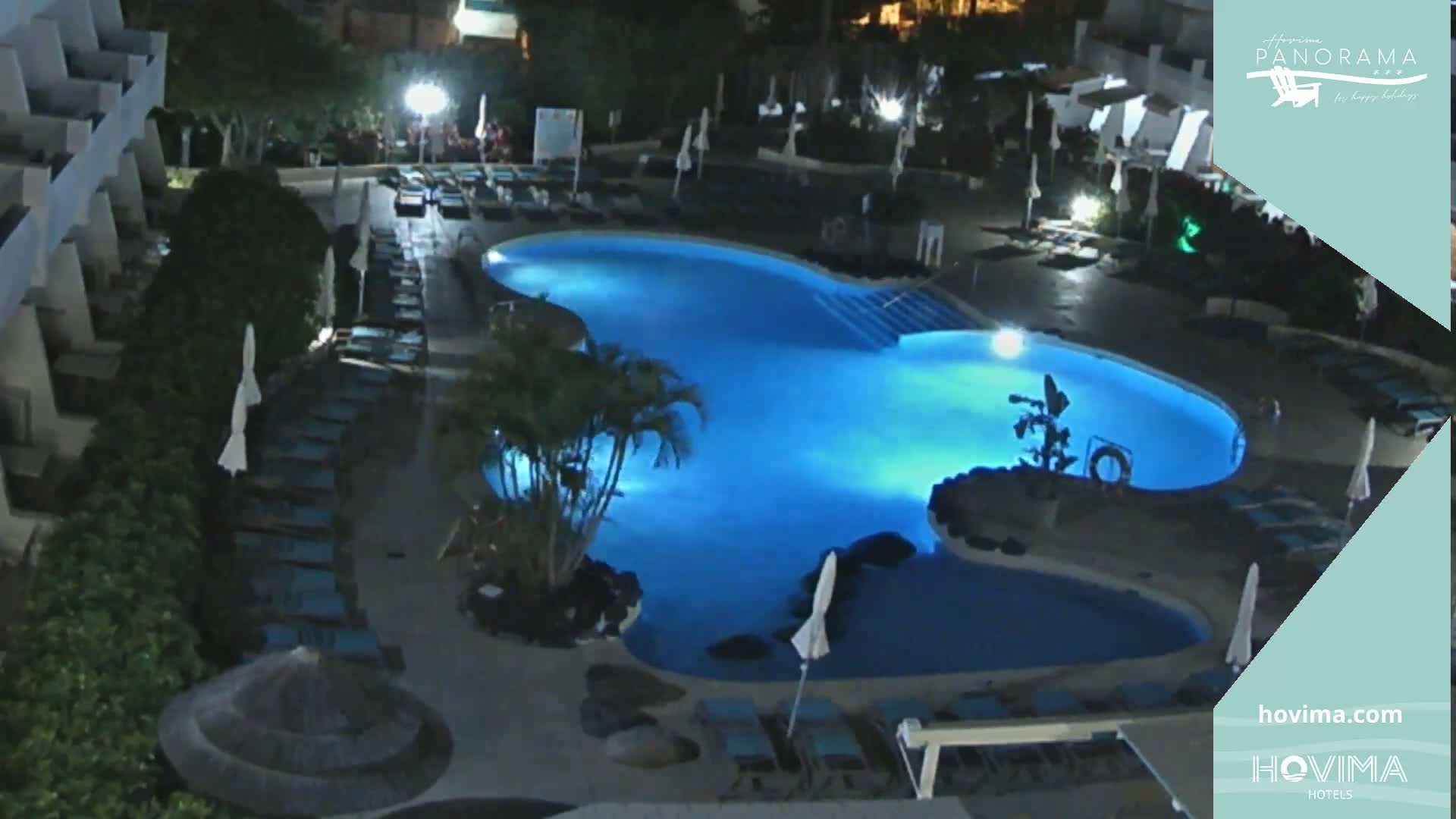 An illuminated, irregularly shaped swimming pool surrounded by lounge chairs and palm trees at night.