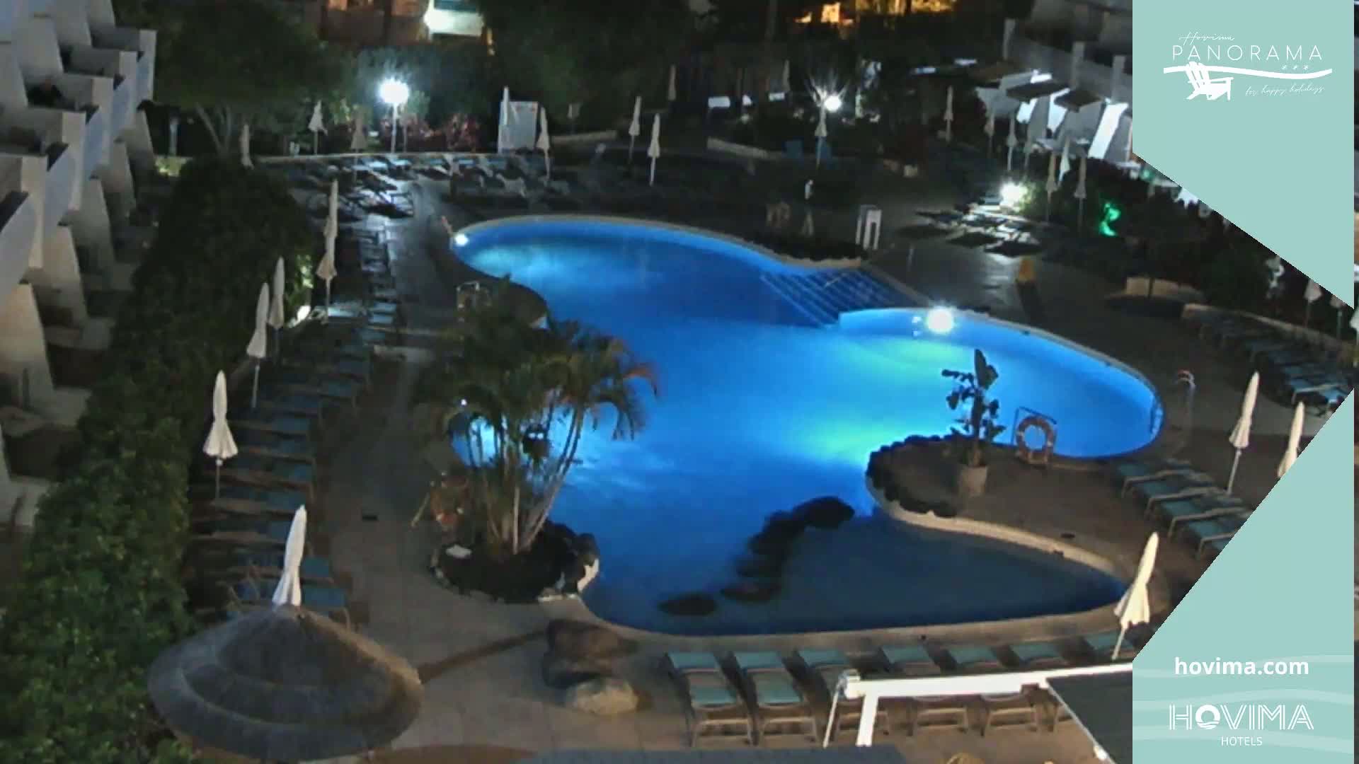 A nighttime view of a resort pool area with lounge chairs and palm trees surrounding a brightly lit kidney-shaped swimming pool.