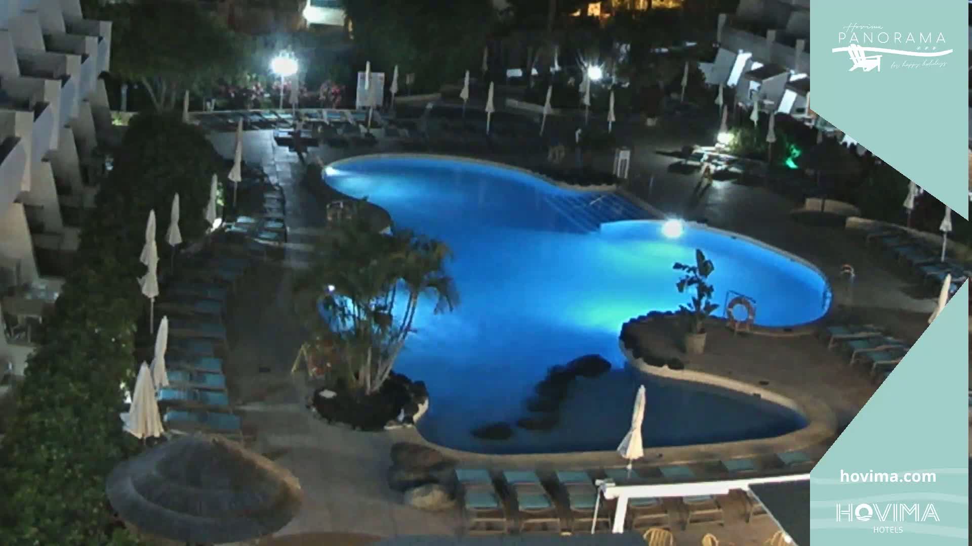 An illuminated, kidney-shaped swimming pool surrounded by lounge chairs and palm trees at night.