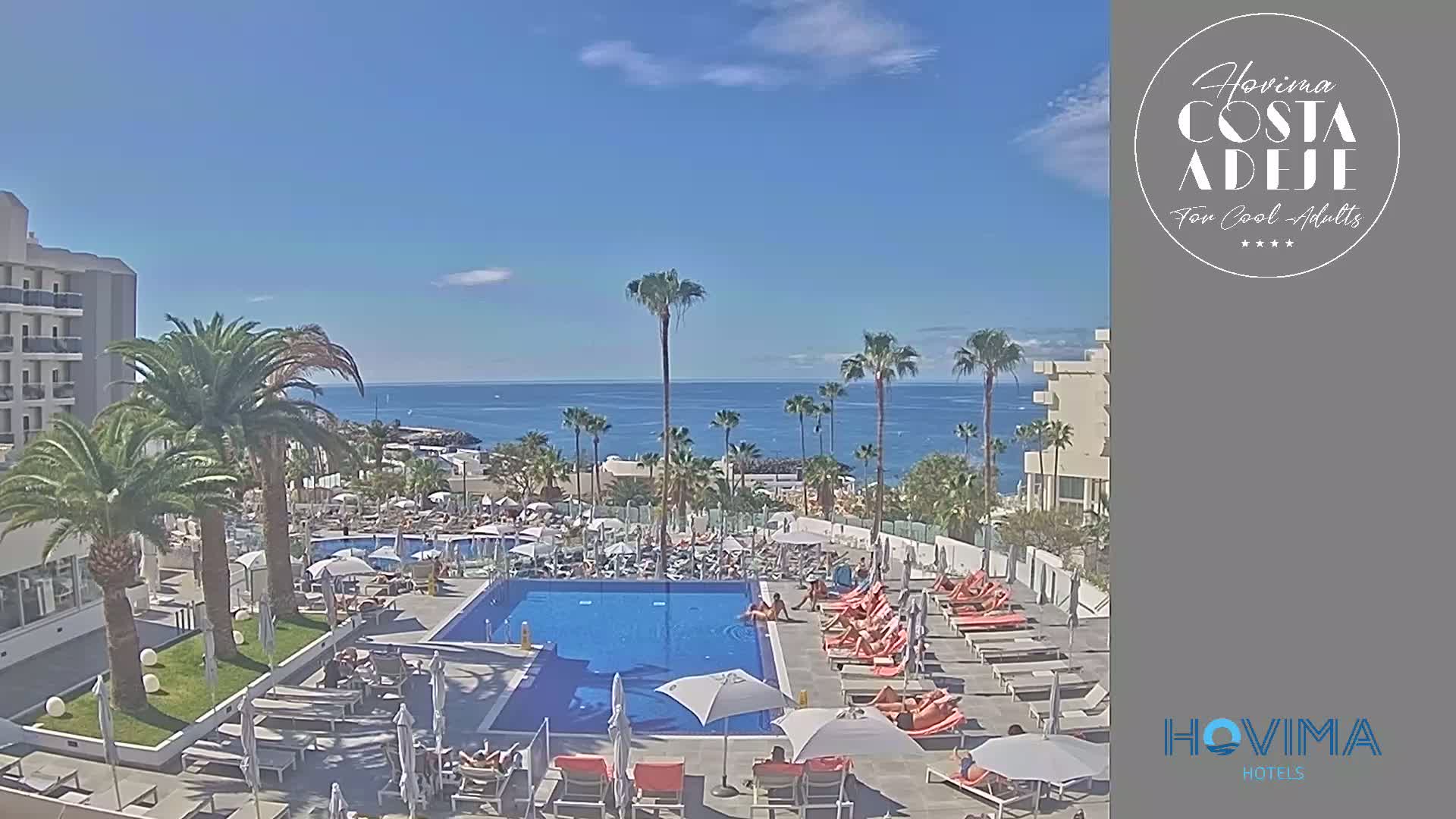 A resort pool area with lounge chairs and many people relaxing, surrounded by palm trees and overlooking a calm ocean under a clear blue sky.