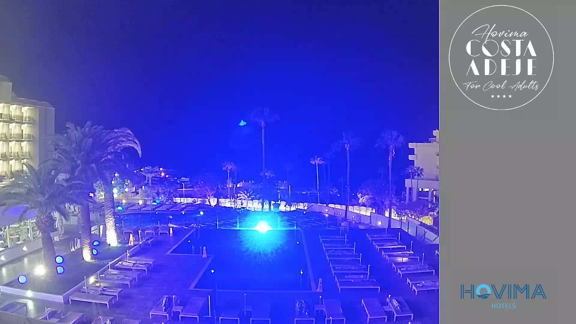 A nighttime view of a resort pool area with palm trees and a building illuminated in blue light under a dark blue sky.