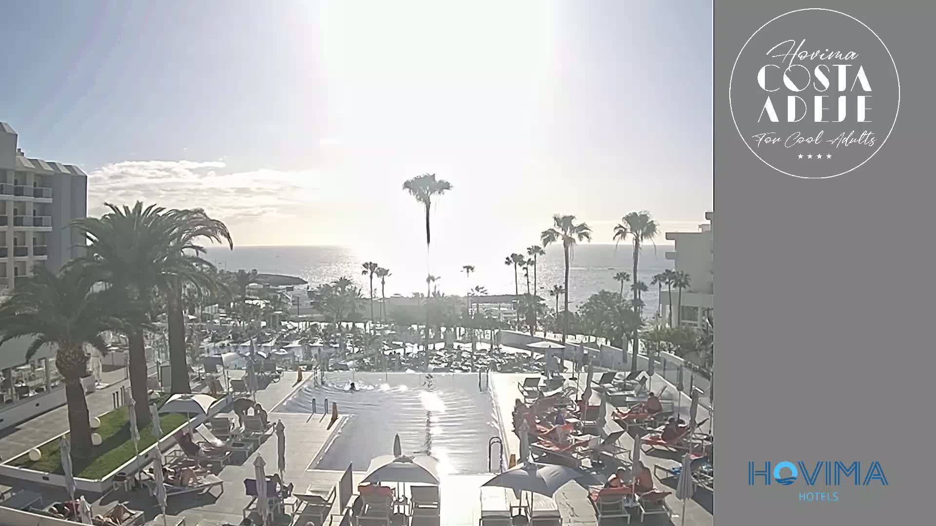 A resort pool area with lounge chairs and palm trees overlooks a calm ocean under a sunny sky.