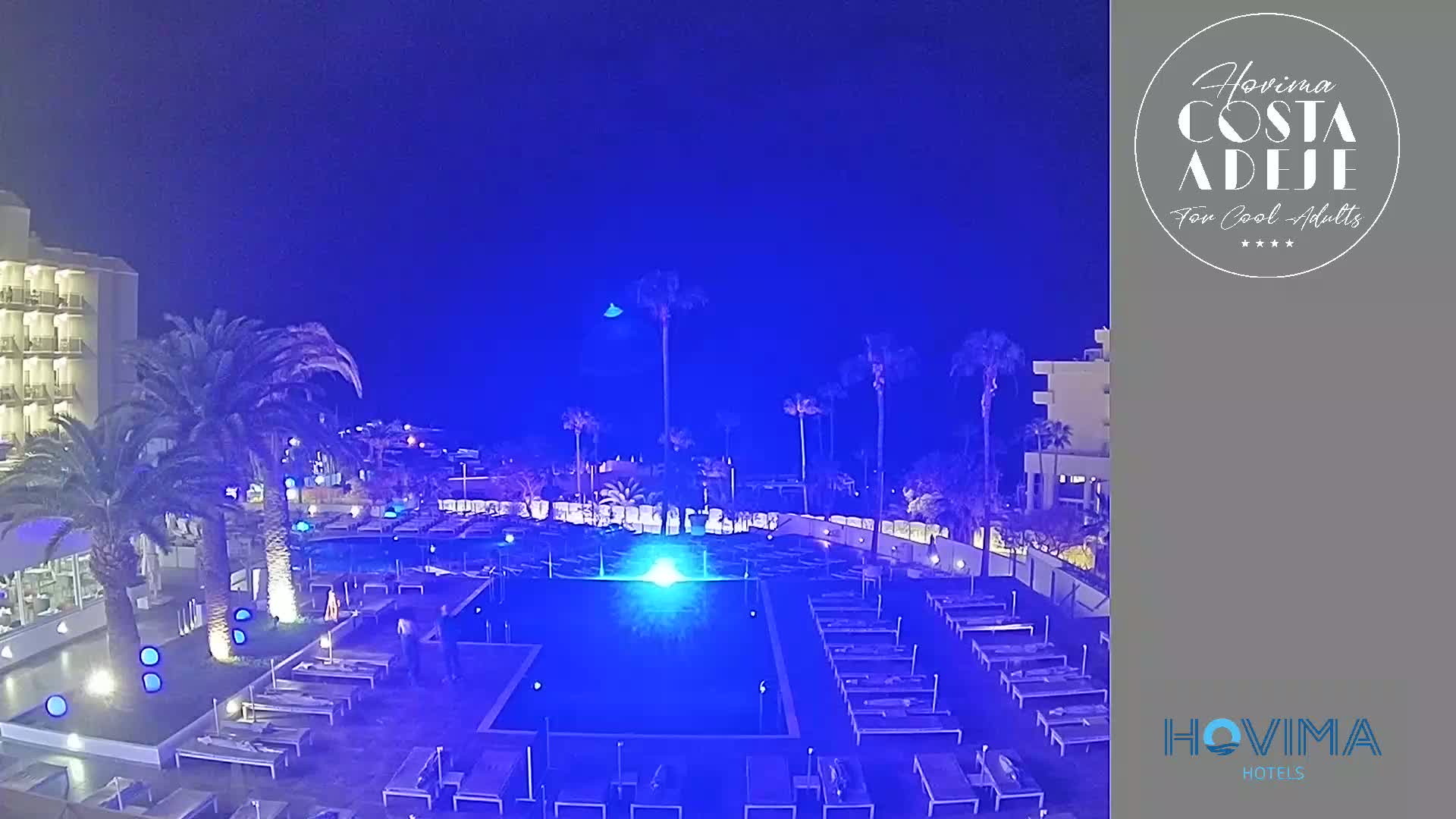 A nighttime view of a resort pool area illuminated in blue, surrounded by palm trees and a building.