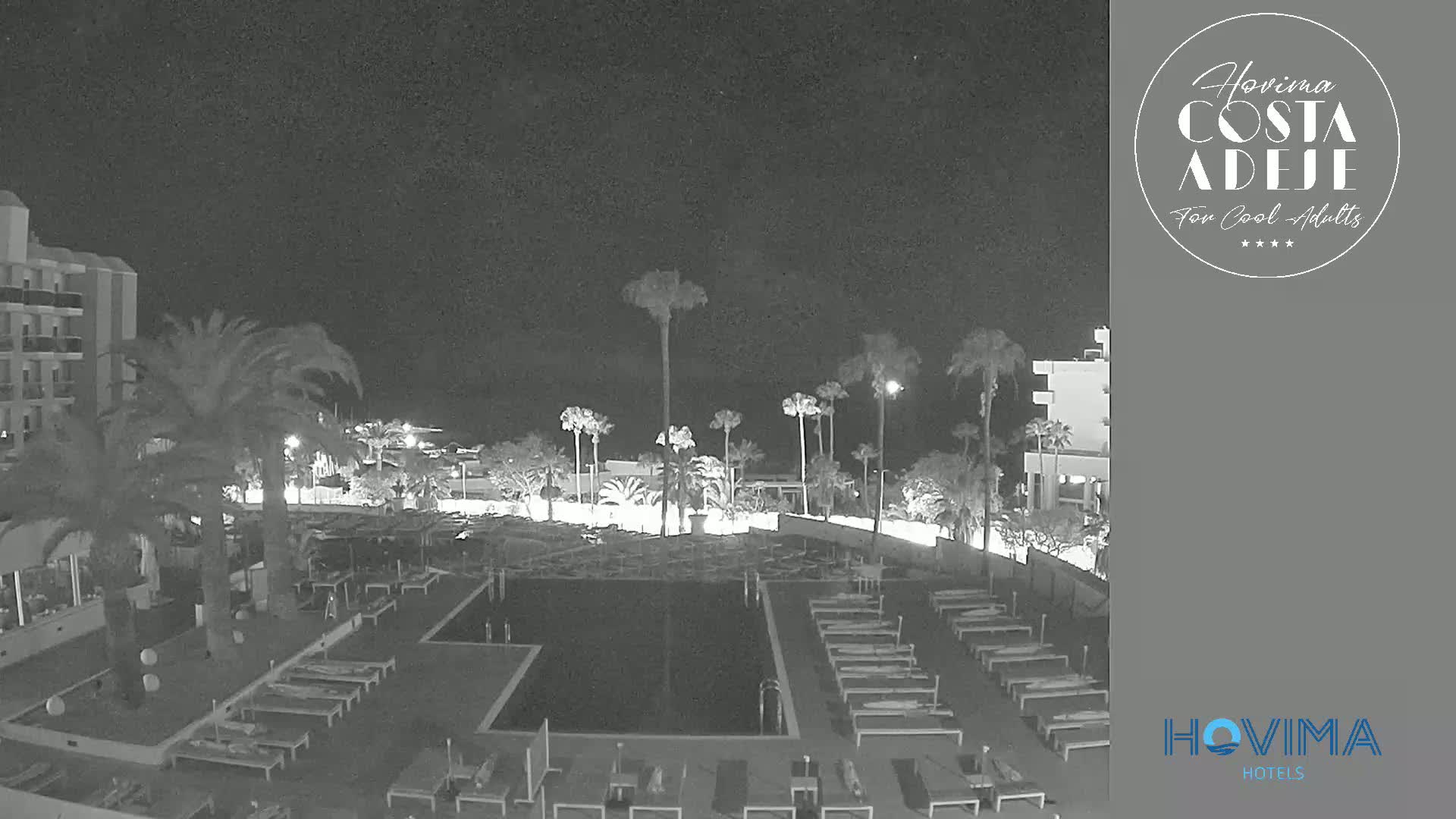 A nighttime, black-and-white view of a resort pool area with palm trees, lounge chairs, and a building in the background under a clear sky.
